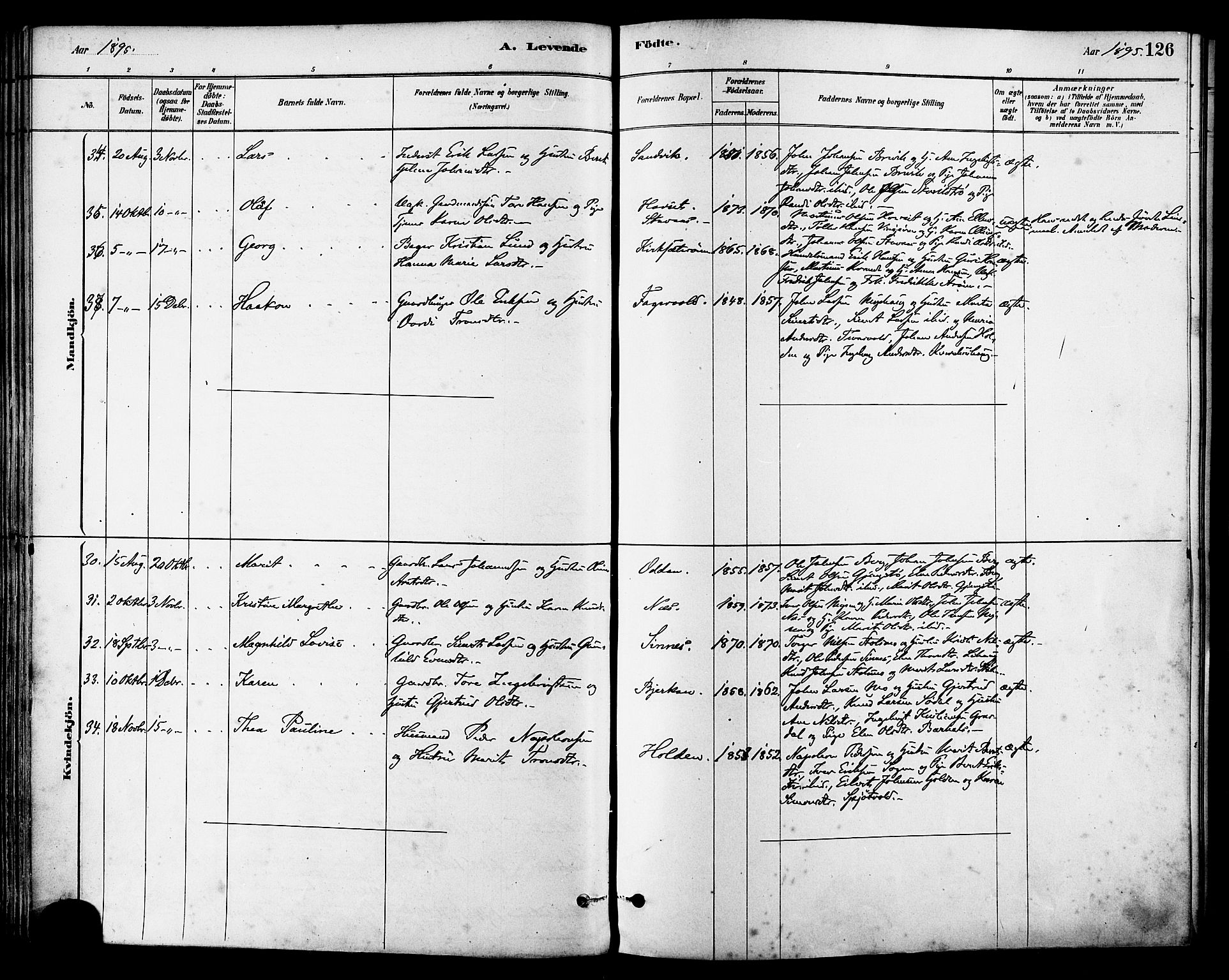 Ministerialprotokoller, klokkerbøker og fødselsregistre - Sør-Trøndelag, AV/SAT-A-1456/630/L0496: Ministerialbok nr. 630A09, 1879-1895, s. 126