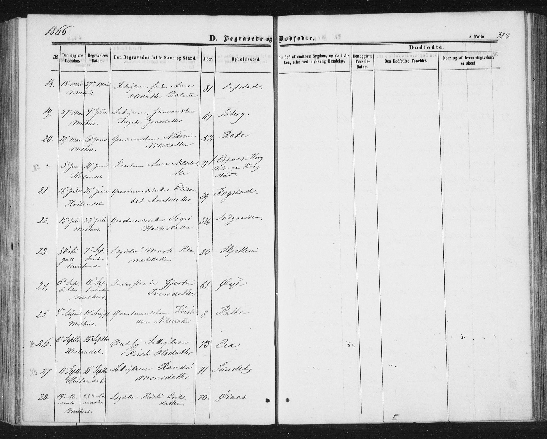 Ministerialprotokoller, klokkerbøker og fødselsregistre - Sør-Trøndelag, SAT/A-1456/691/L1077: Ministerialbok nr. 691A09, 1862-1873, s. 383
