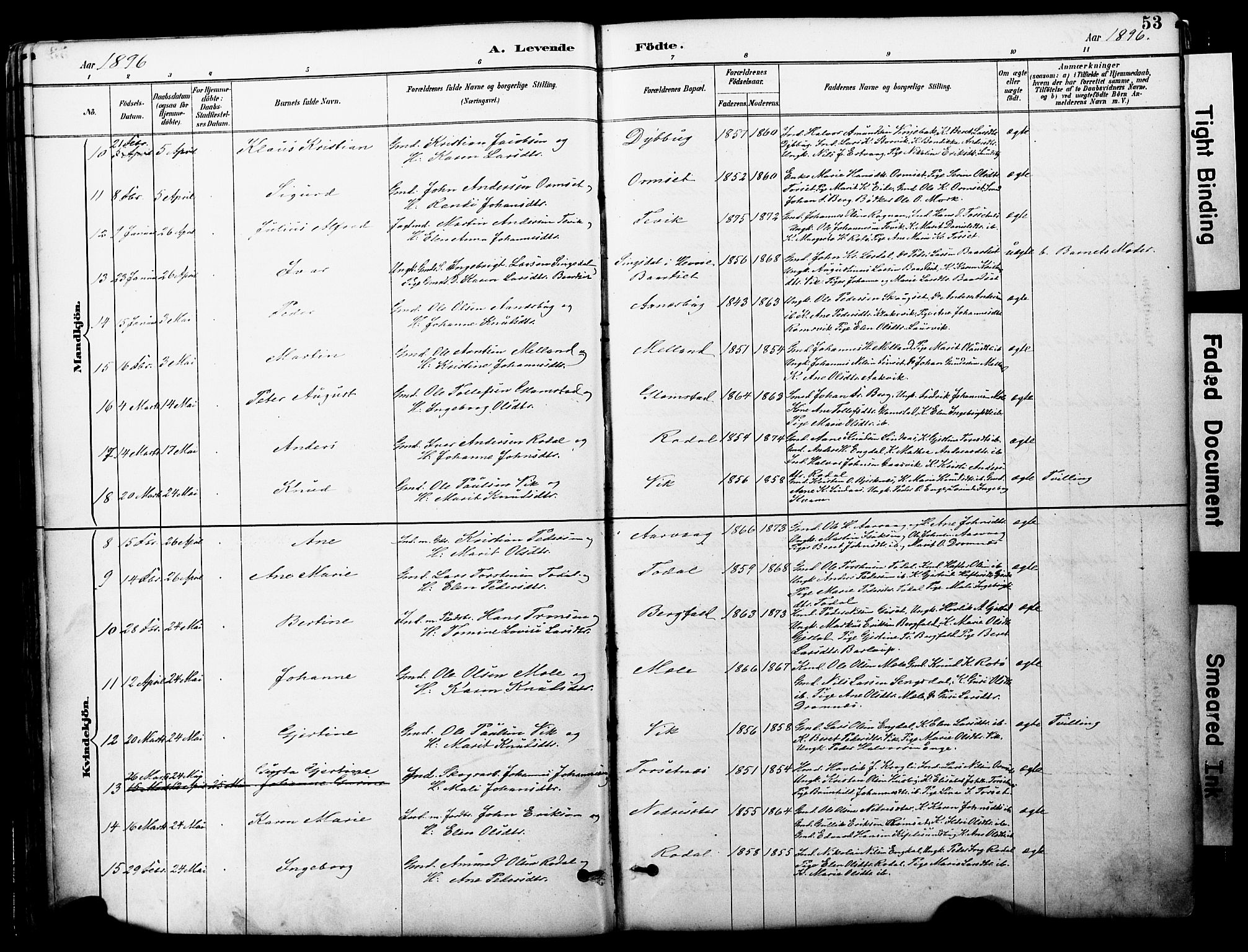 Ministerialprotokoller, klokkerbøker og fødselsregistre - Møre og Romsdal, AV/SAT-A-1454/578/L0907: Ministerialbok nr. 578A06, 1887-1904, s. 53