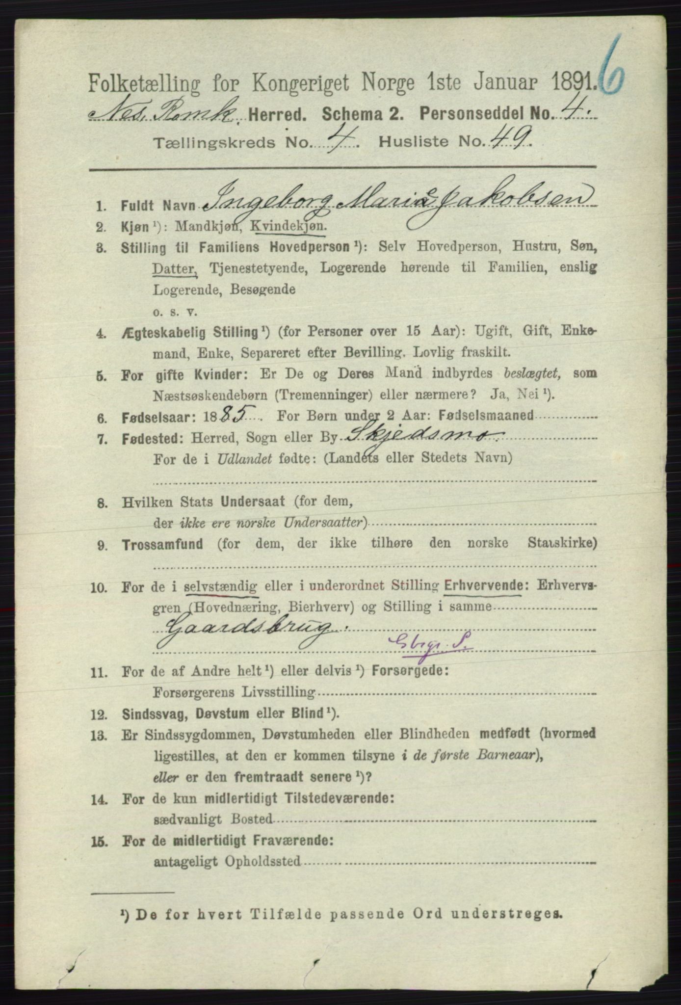RA, Folketelling 1891 for 0236 Nes herred, 1891, s. 2537