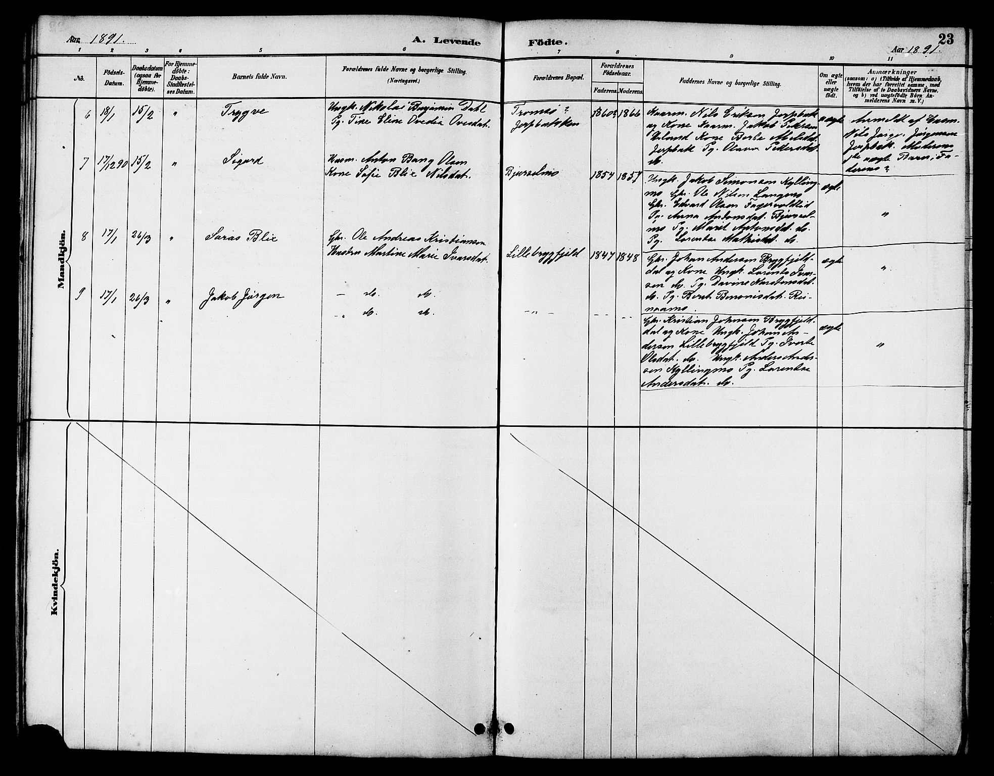 Ministerialprotokoller, klokkerbøker og fødselsregistre - Nordland, AV/SAT-A-1459/826/L0383: Klokkerbok nr. 826C03, 1887-1896, s. 23