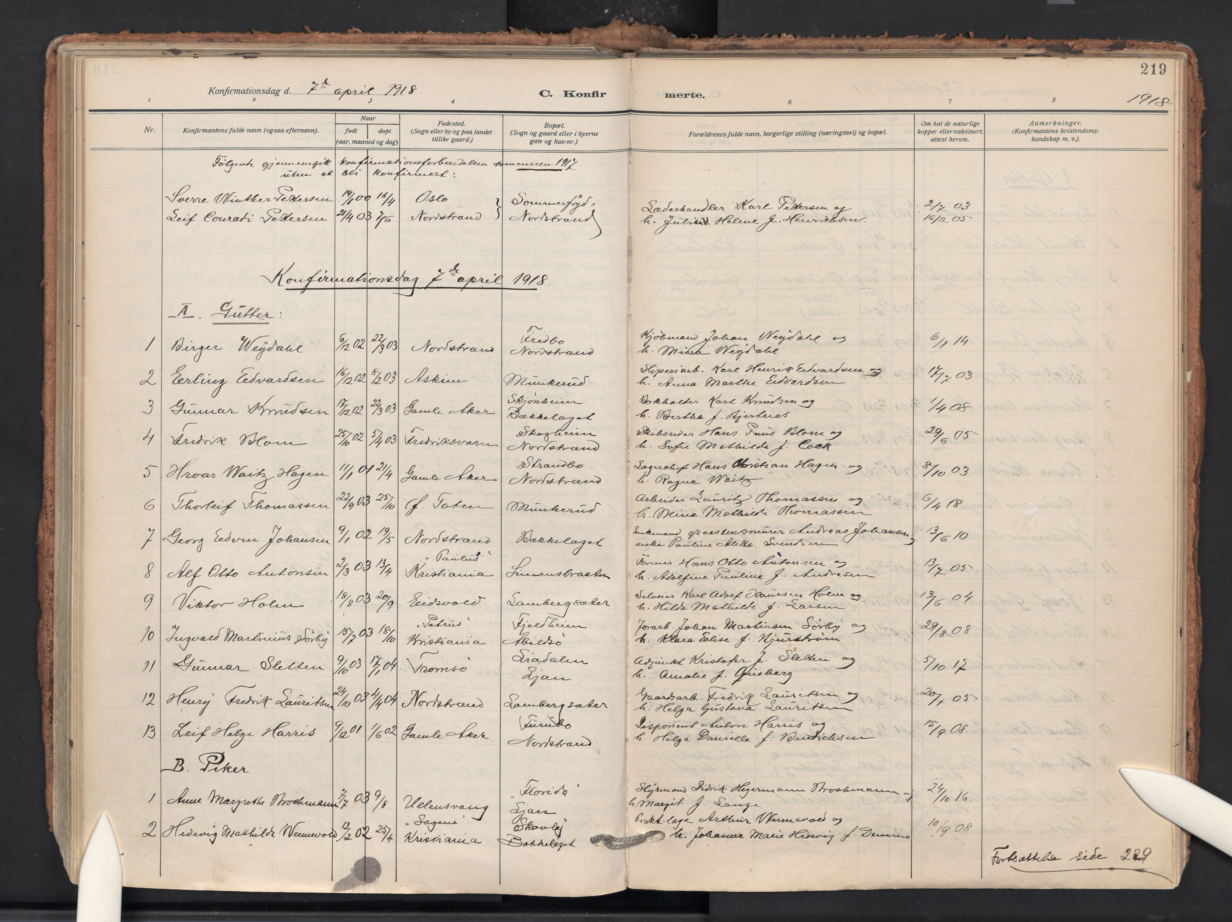 Nordstrand prestekontor Kirkebøker, AV/SAO-A-10362a/F/Fa/L0002: Ministerialbok nr. 2, 1914-1929, s. 219