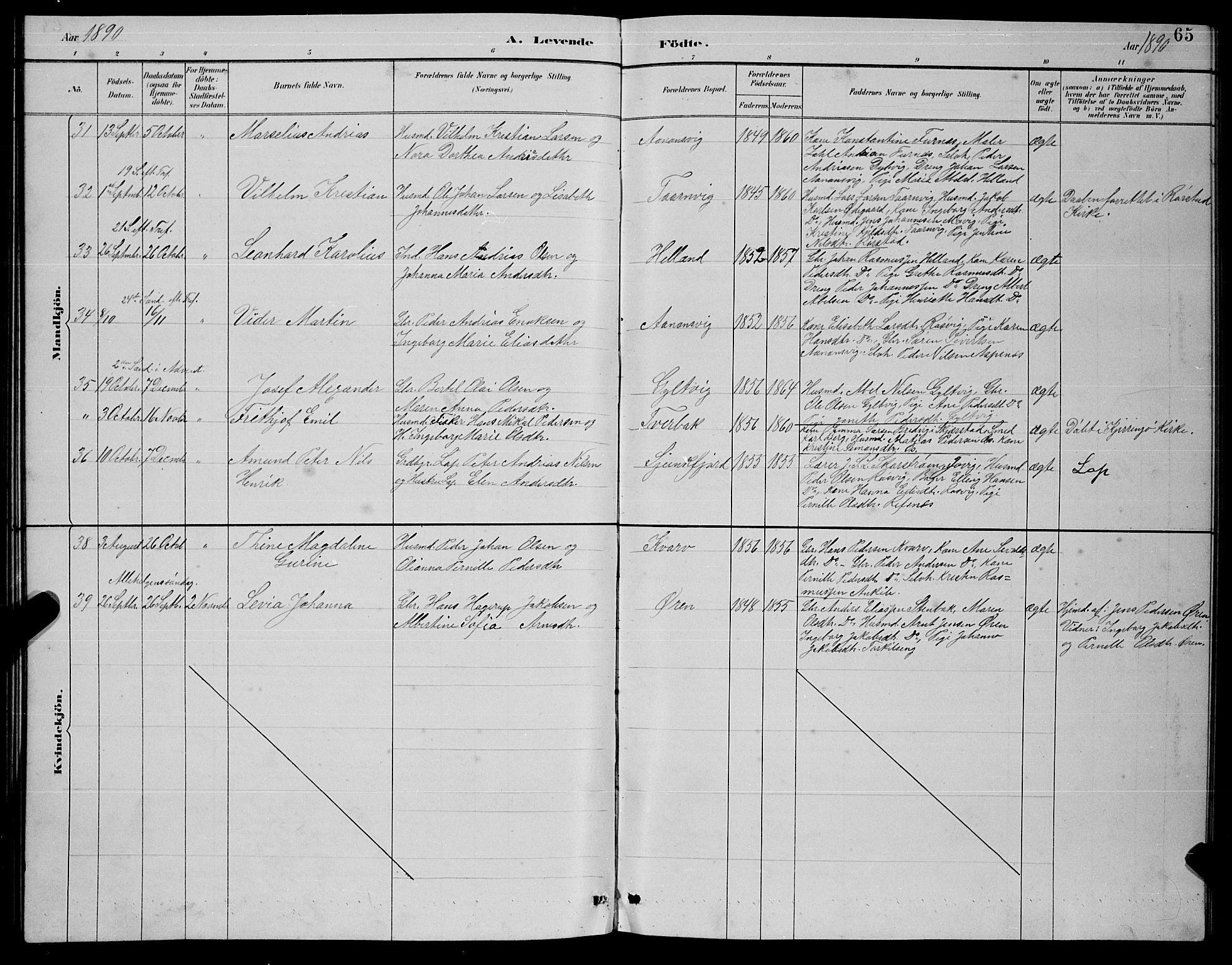 Ministerialprotokoller, klokkerbøker og fødselsregistre - Nordland, AV/SAT-A-1459/854/L0785: Klokkerbok nr. 854C01, 1883-1891, s. 65