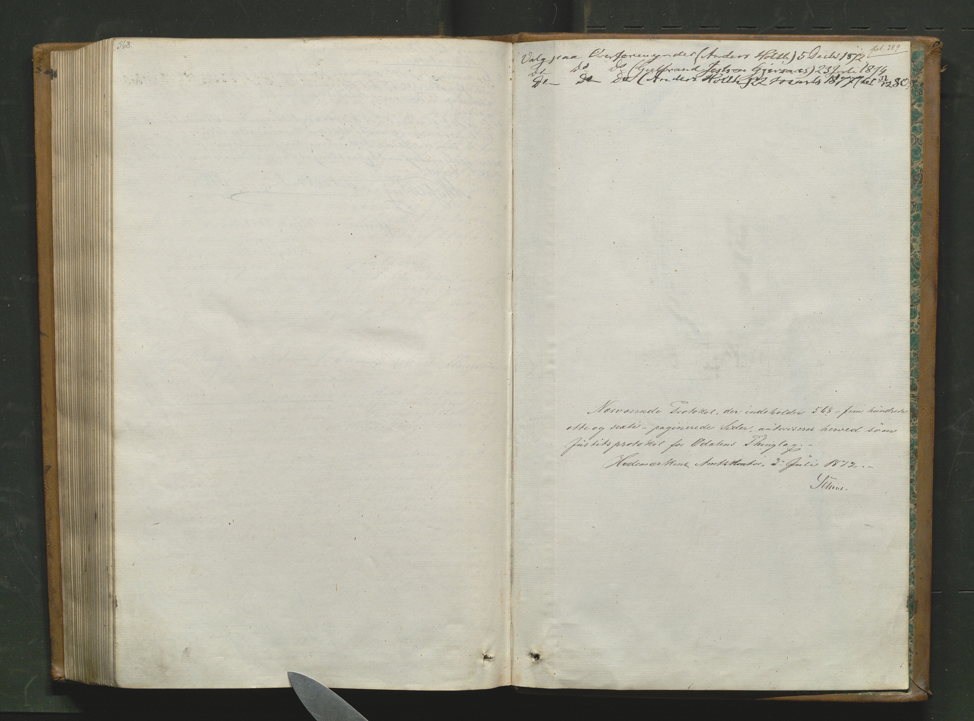 Vinger og Odal sorenskriveri, AV/SAH-TING-022/G/Gb/Gbb/L0007: Tingbok - Odal, 1872-1878, s. 568-569