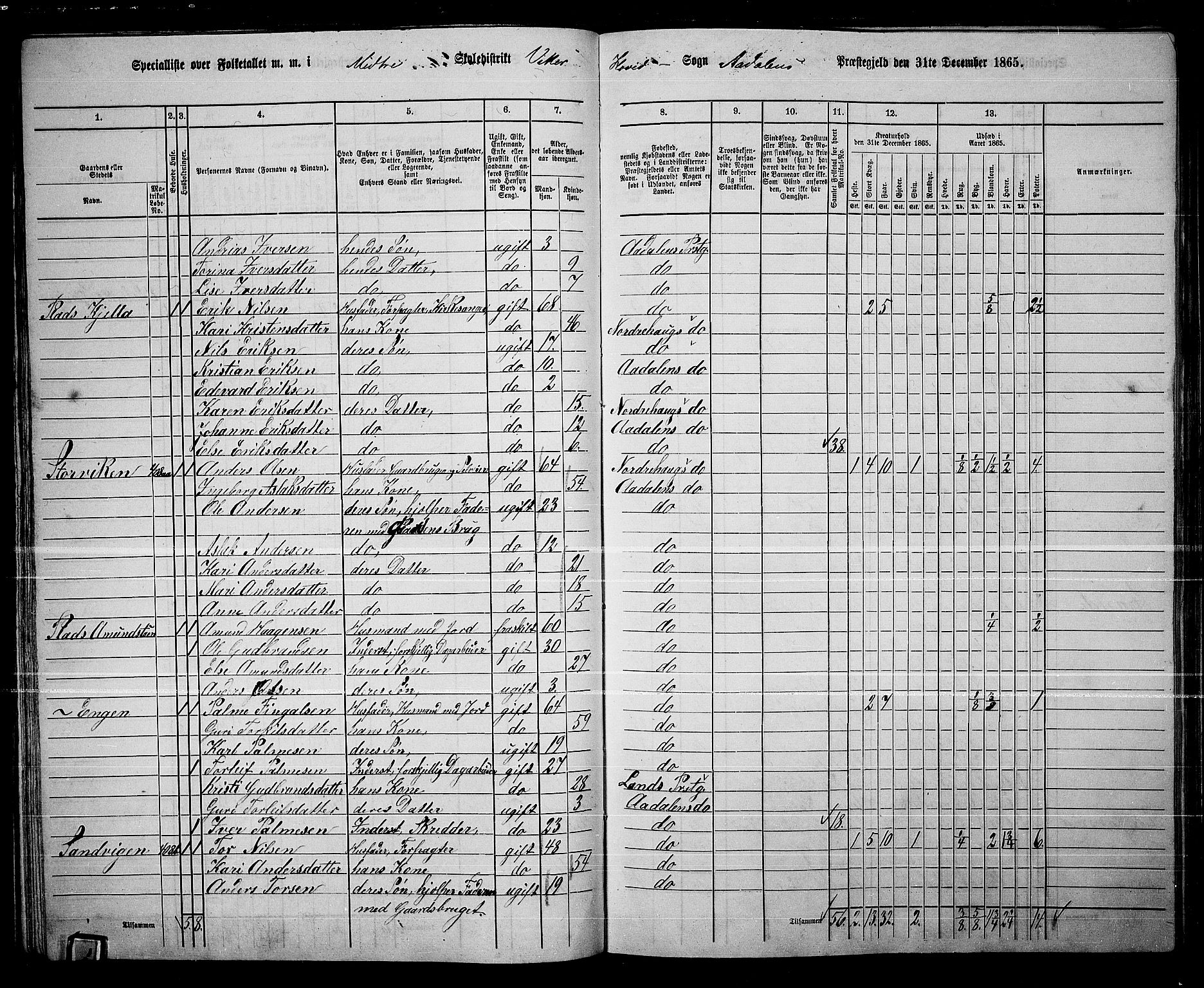 RA, Folketelling 1865 for 0614P Ådal prestegjeld, 1865, s. 50