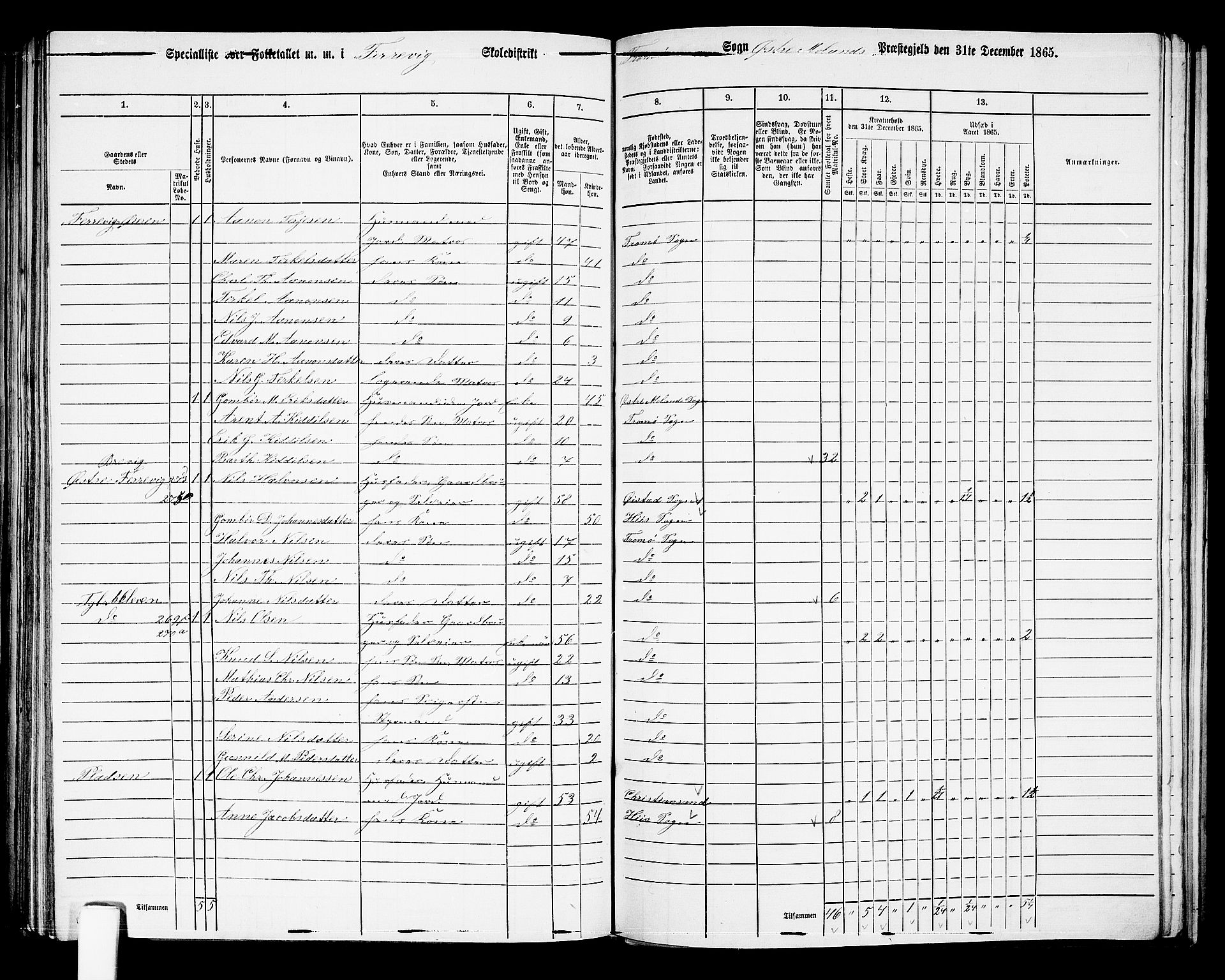 RA, Folketelling 1865 for 0918P Austre Moland prestegjeld, 1865, s. 255