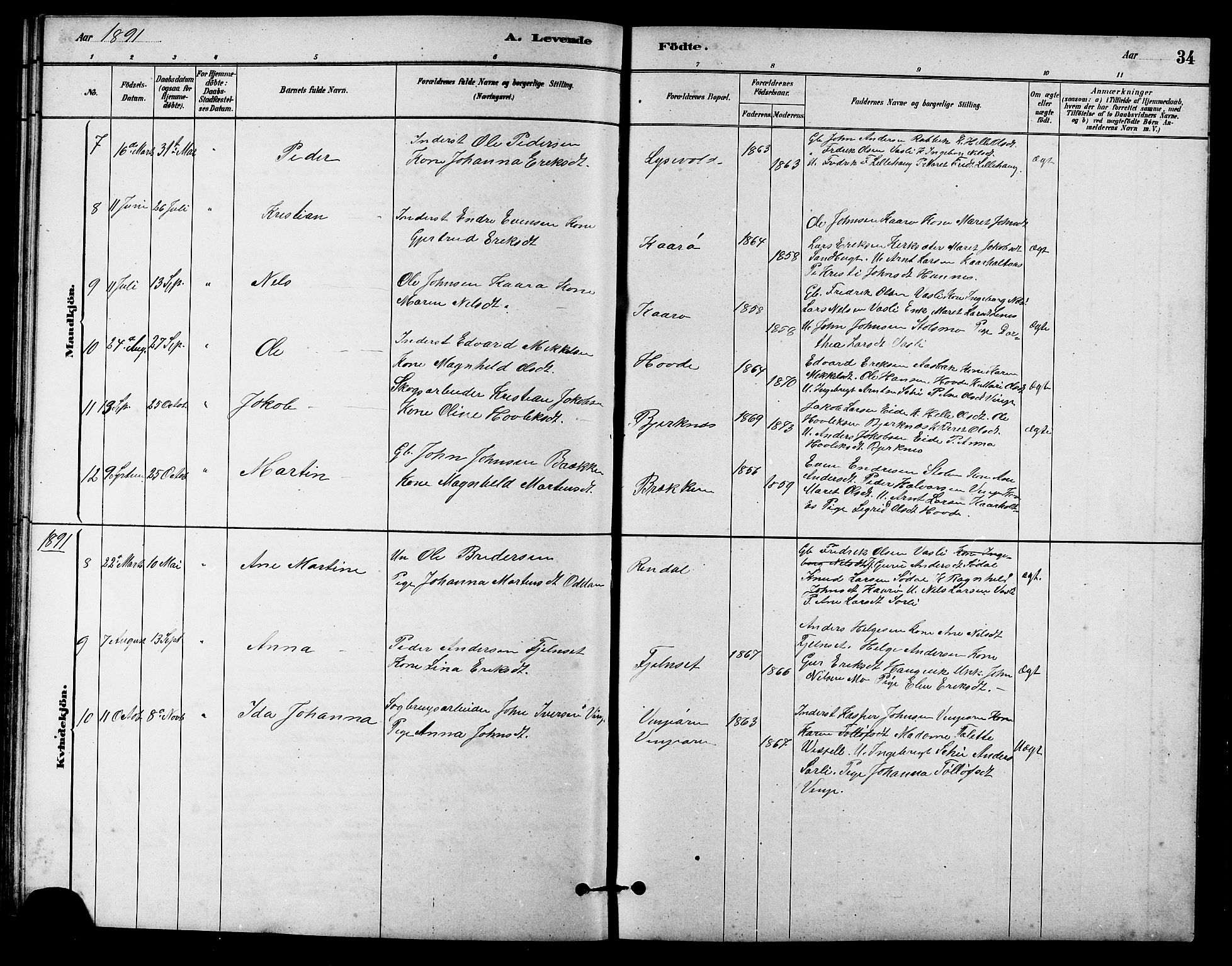 Ministerialprotokoller, klokkerbøker og fødselsregistre - Sør-Trøndelag, AV/SAT-A-1456/631/L0514: Klokkerbok nr. 631C02, 1879-1912, s. 34