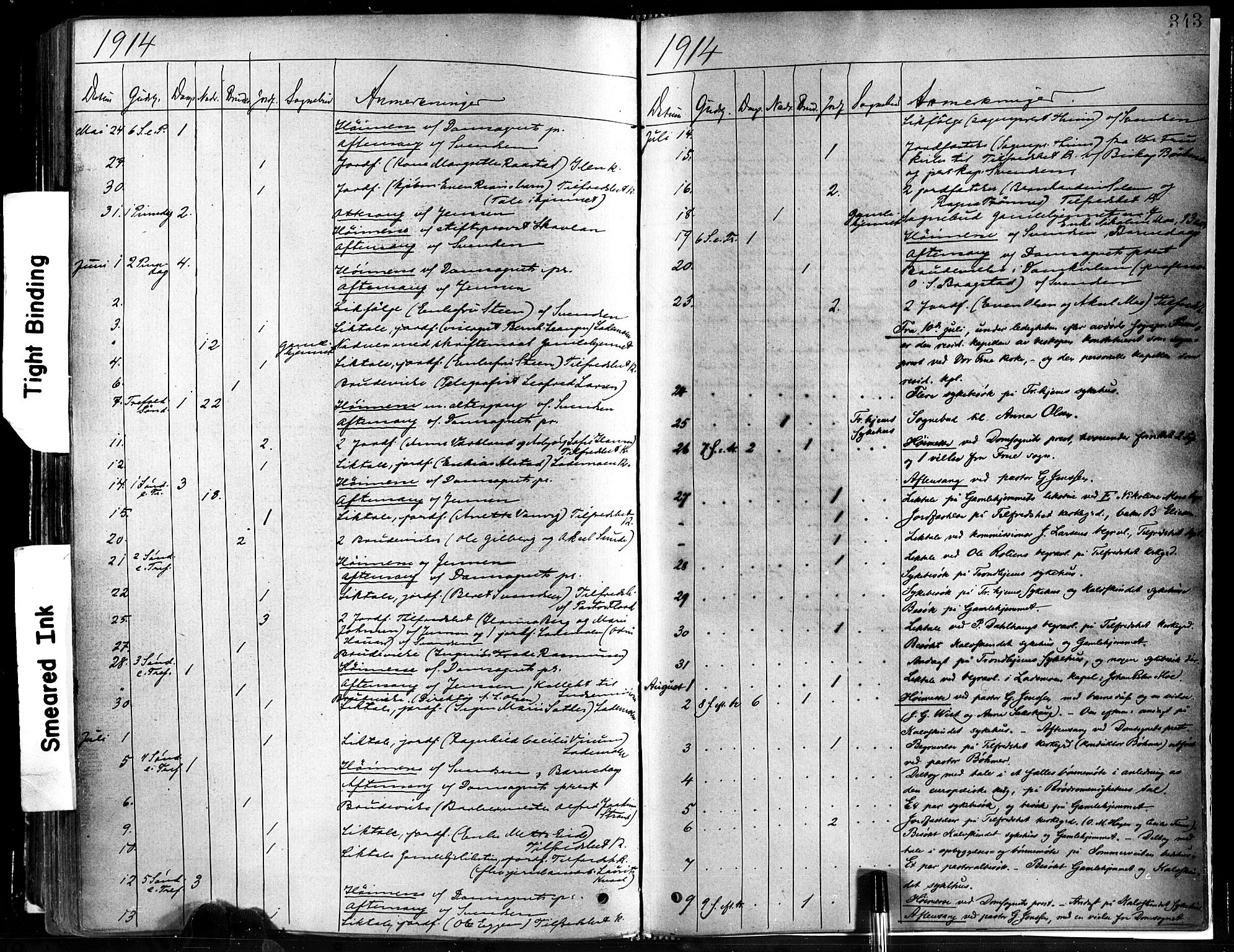 Ministerialprotokoller, klokkerbøker og fødselsregistre - Sør-Trøndelag, SAT/A-1456/602/L0119: Ministerialbok nr. 602A17, 1880-1901, s. 343