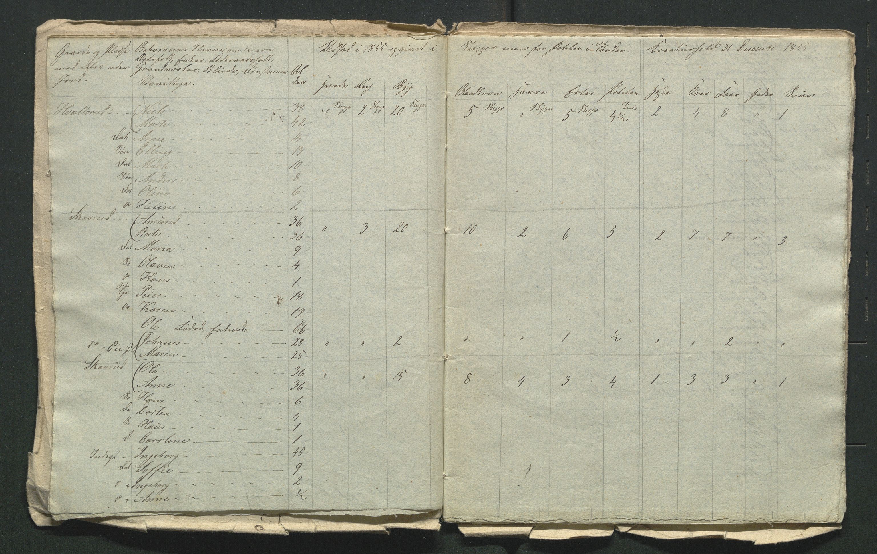 SAH, Lokaliasamlingen for Hedmark og Oppland fylker m.v.: Folketellingen 1855 for Jevnaker prestegjeld, 1855, s. 149