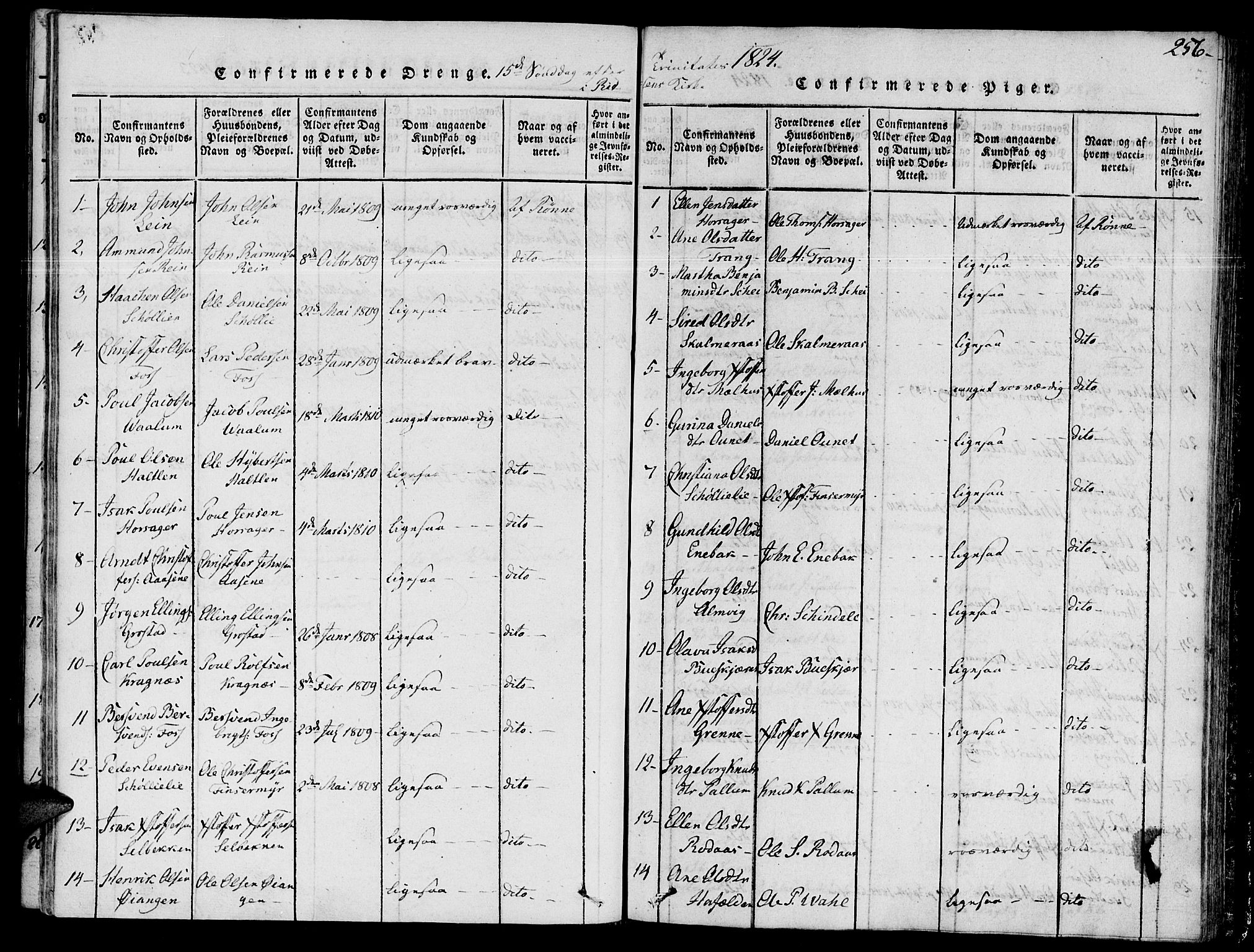Ministerialprotokoller, klokkerbøker og fødselsregistre - Sør-Trøndelag, AV/SAT-A-1456/646/L0608: Ministerialbok nr. 646A06, 1816-1825, s. 256