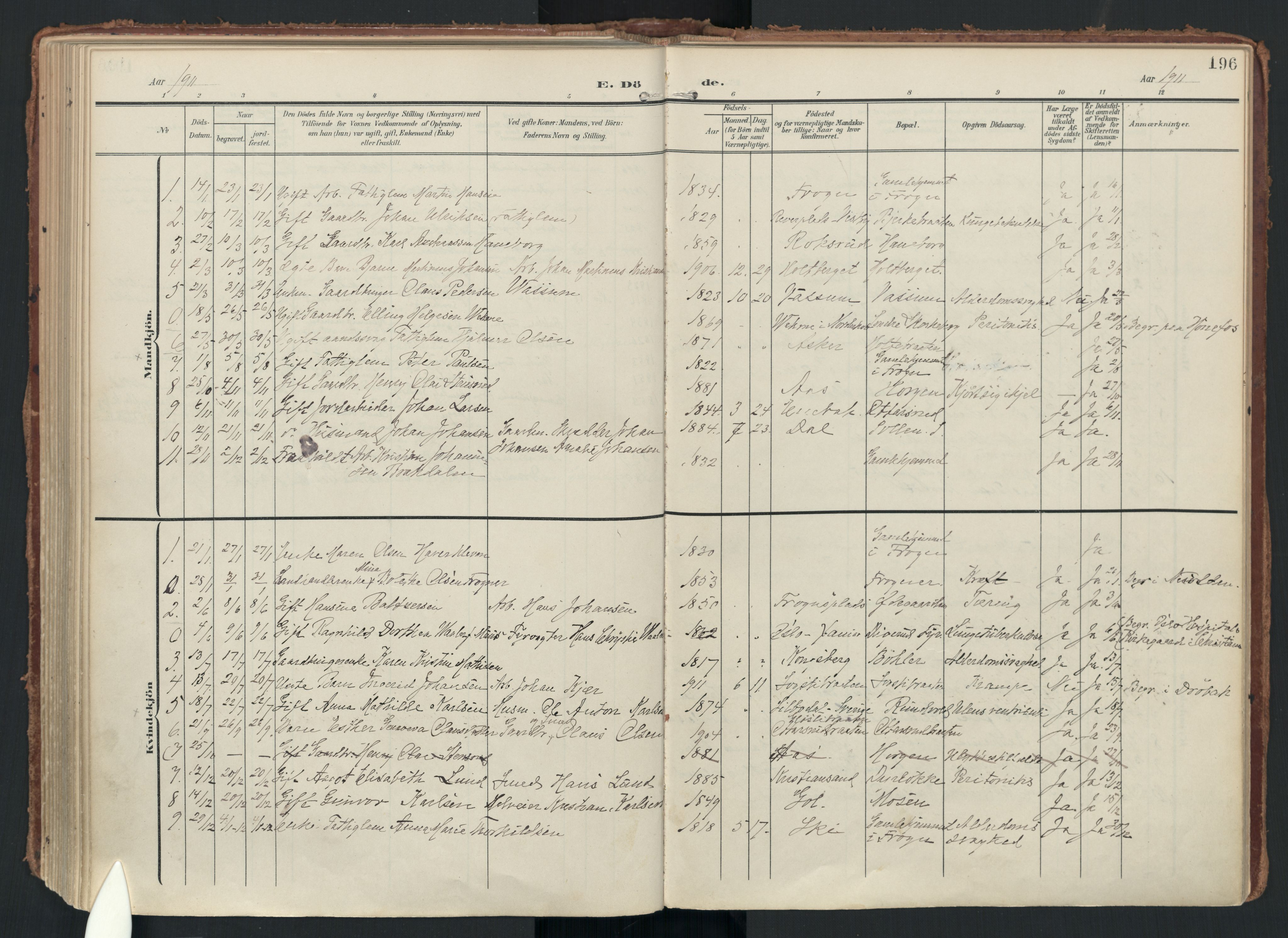 Drøbak prestekontor Kirkebøker, AV/SAO-A-10142a/F/Fc/L0003: Ministerialbok nr. III 3, 1901-1920, s. 196