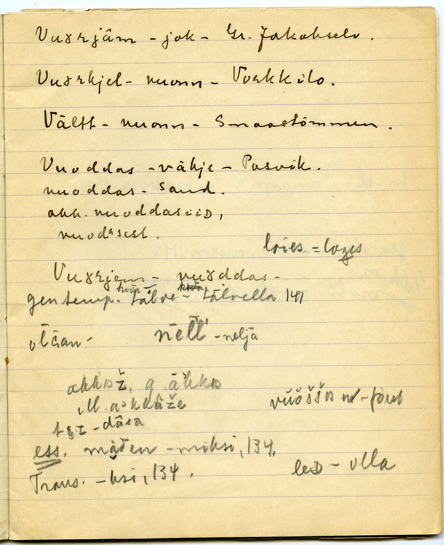 Johan Beronkas testamentariske gave, FMFB/A-1098/G/L0019: Notatbok om Pasvik–lappisk (4 stykker), 1928-1929, s. 40