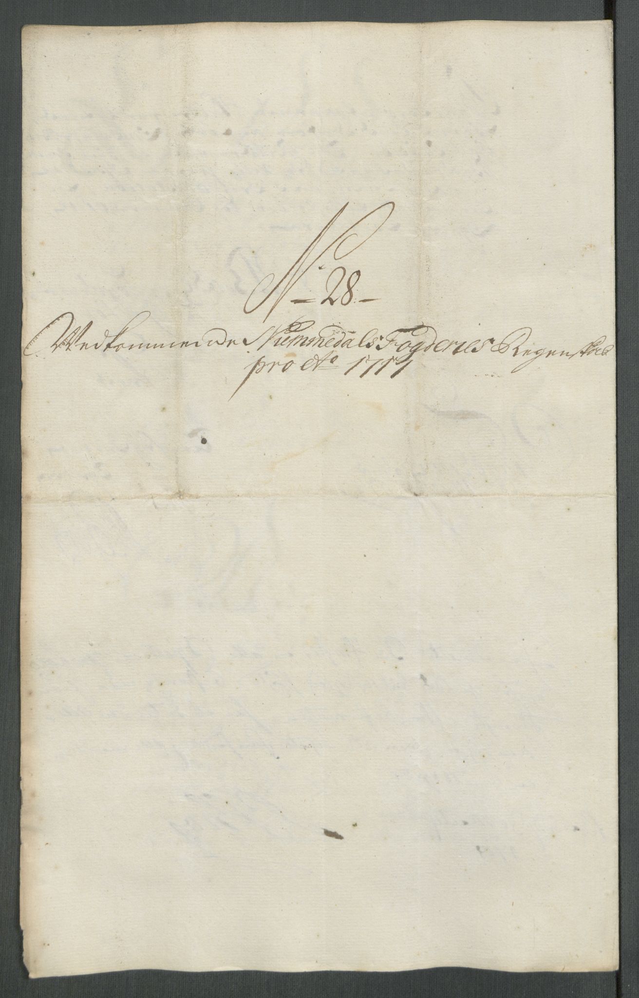 Rentekammeret inntil 1814, Reviderte regnskaper, Fogderegnskap, AV/RA-EA-4092/R64/L4438: Fogderegnskap Namdal, 1717, s. 195