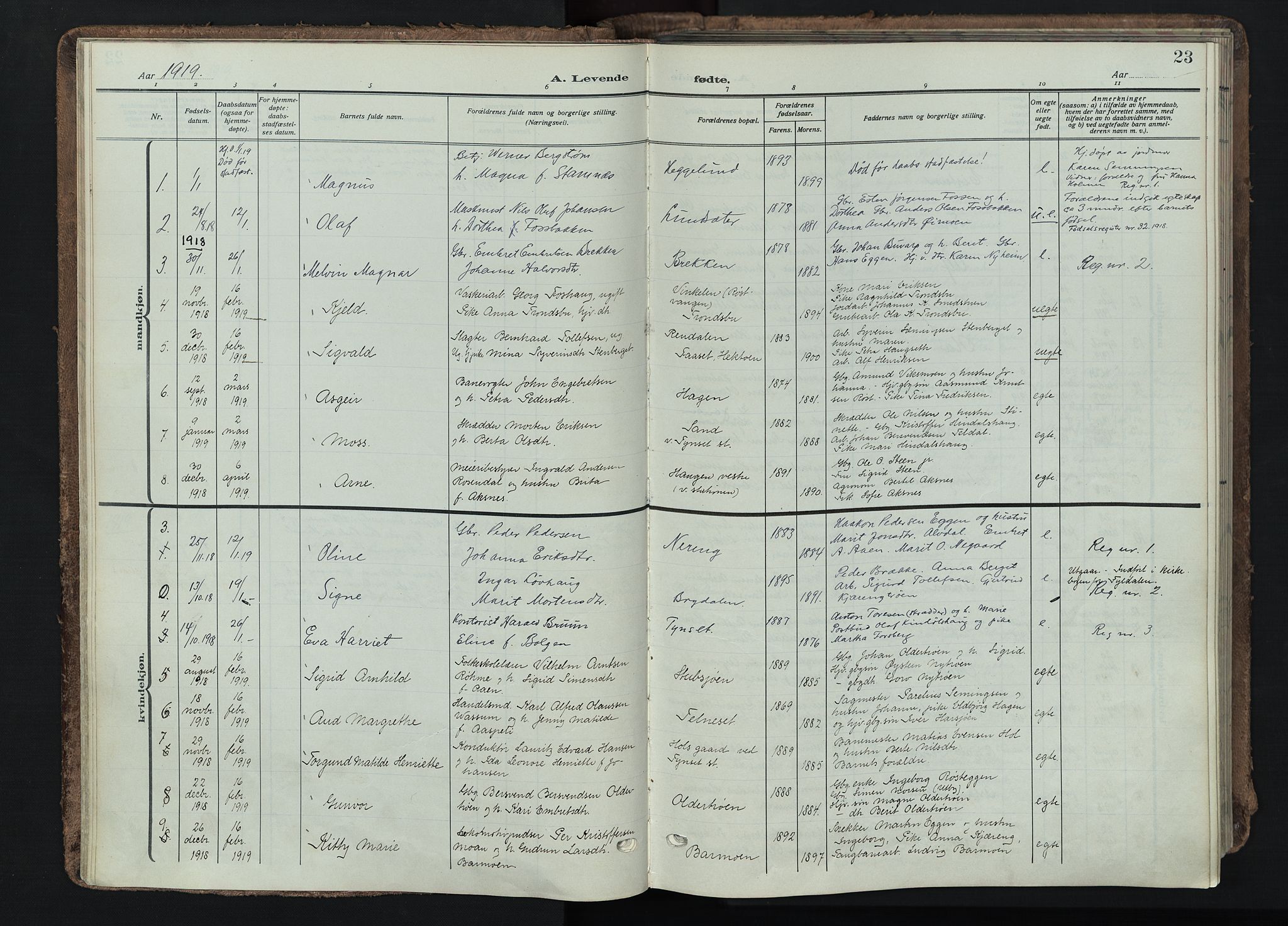 Tynset prestekontor, AV/SAH-PREST-058/H/Ha/Haa/L0026: Ministerialbok nr. 26, 1915-1929, s. 23