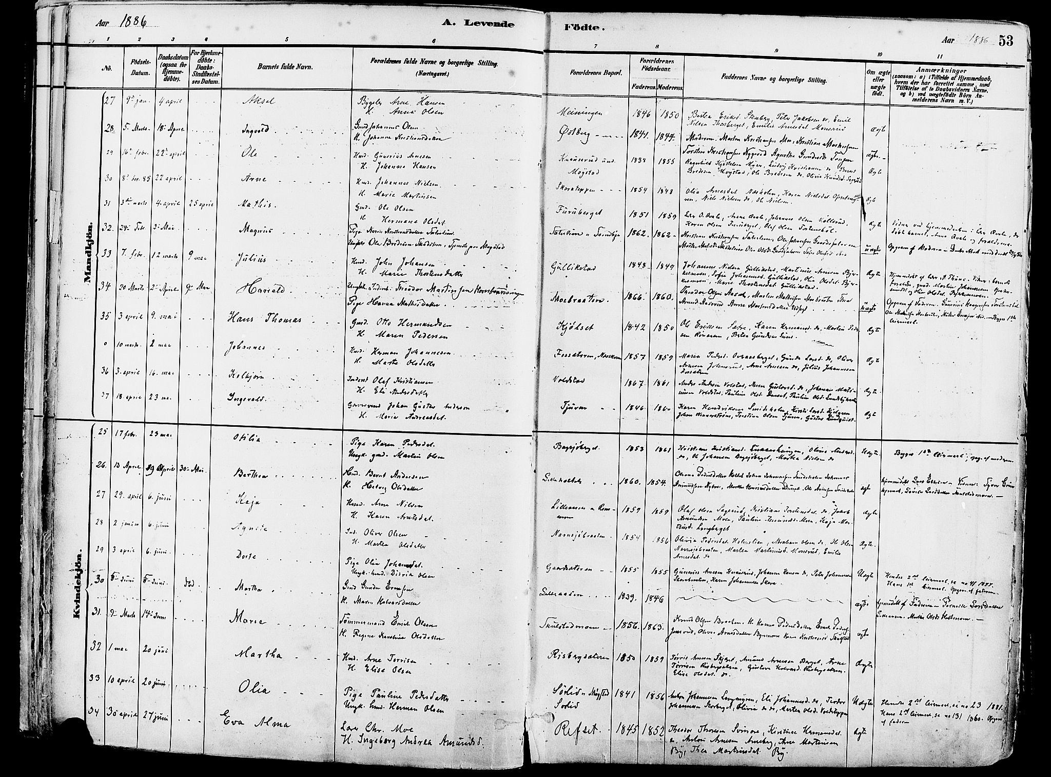 Grue prestekontor, AV/SAH-PREST-036/H/Ha/Haa/L0012: Ministerialbok nr. 12, 1881-1897, s. 53