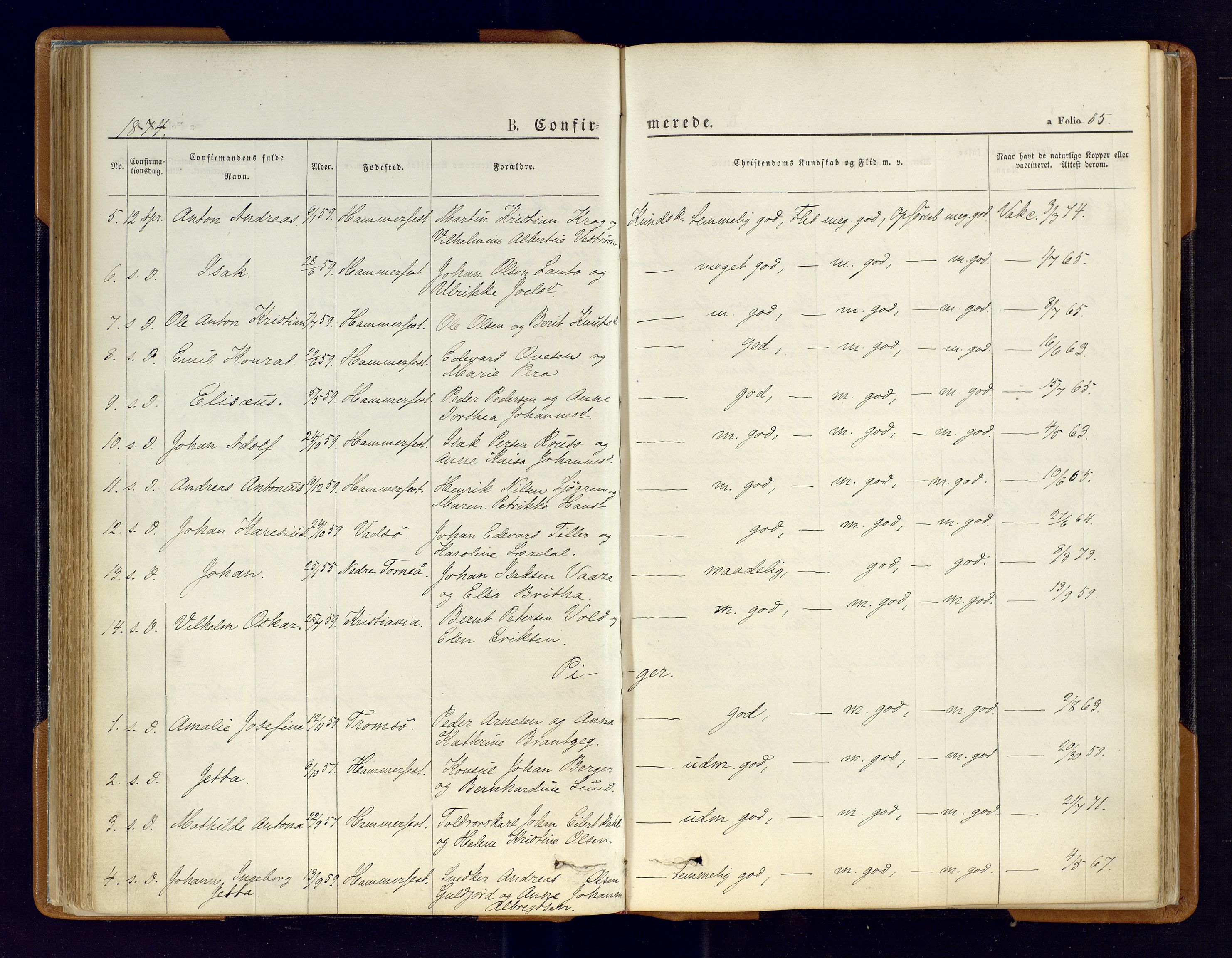 Hammerfest sokneprestkontor, SATØ/S-1347/H/Ha/L0006.kirke: Ministerialbok nr. 6, 1869-1877, s. 85