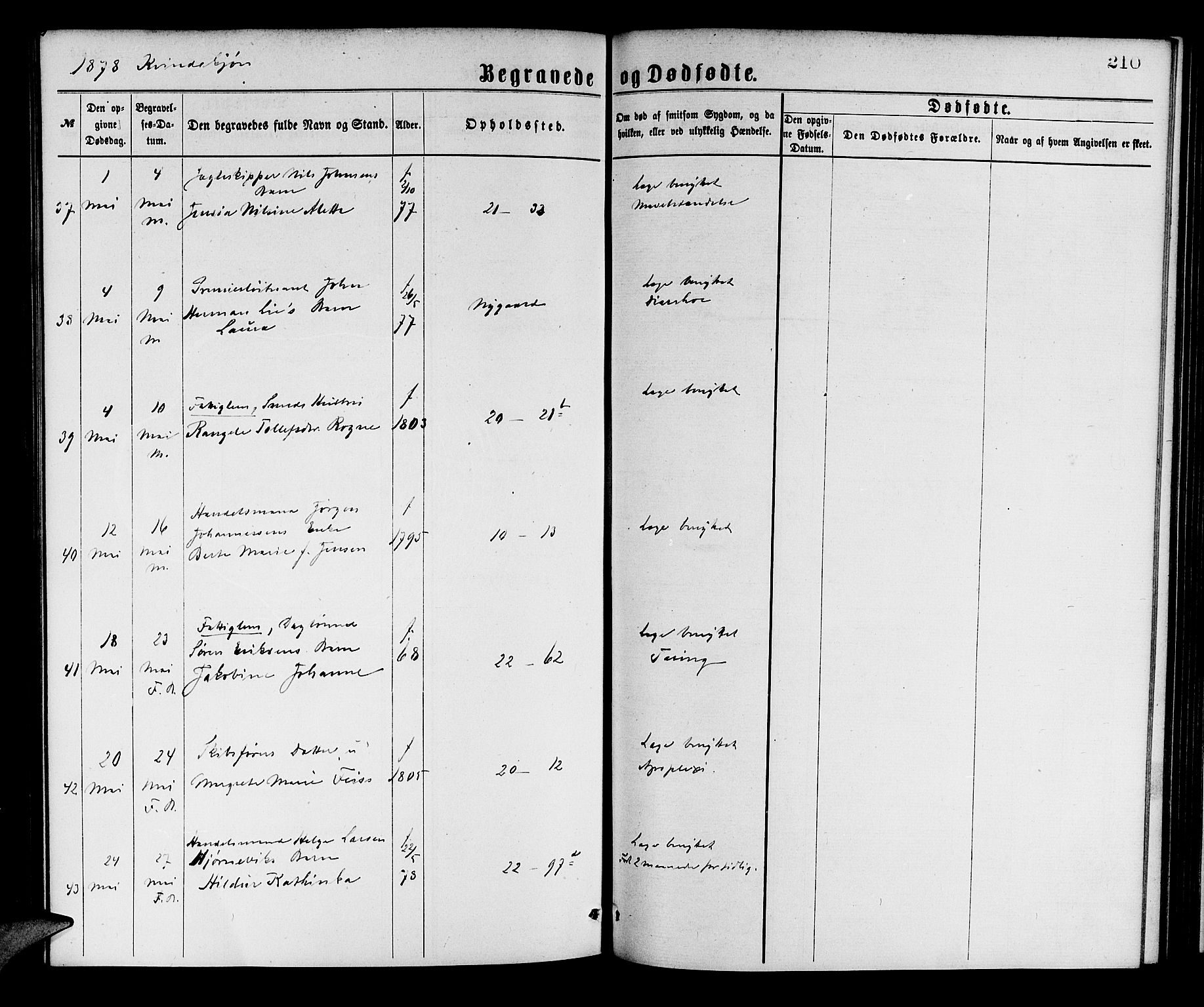 Korskirken sokneprestembete, AV/SAB-A-76101/H/Hab: Klokkerbok nr. E 3, 1871-1883, s. 210