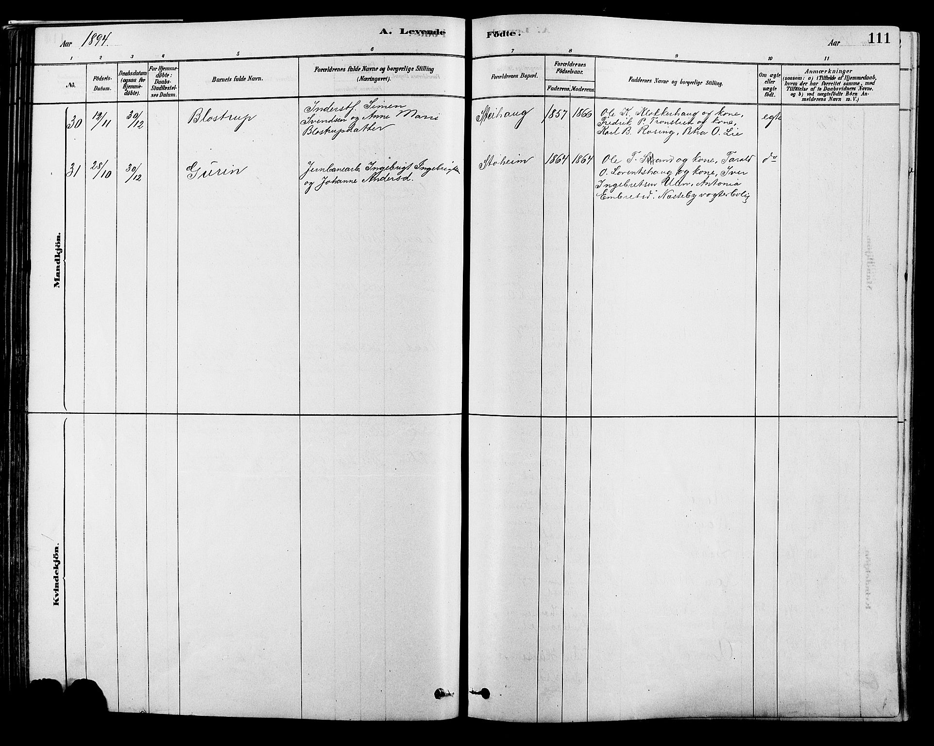 Alvdal prestekontor, AV/SAH-PREST-060/H/Ha/Hab/L0003: Klokkerbok nr. 3, 1878-1907, s. 111