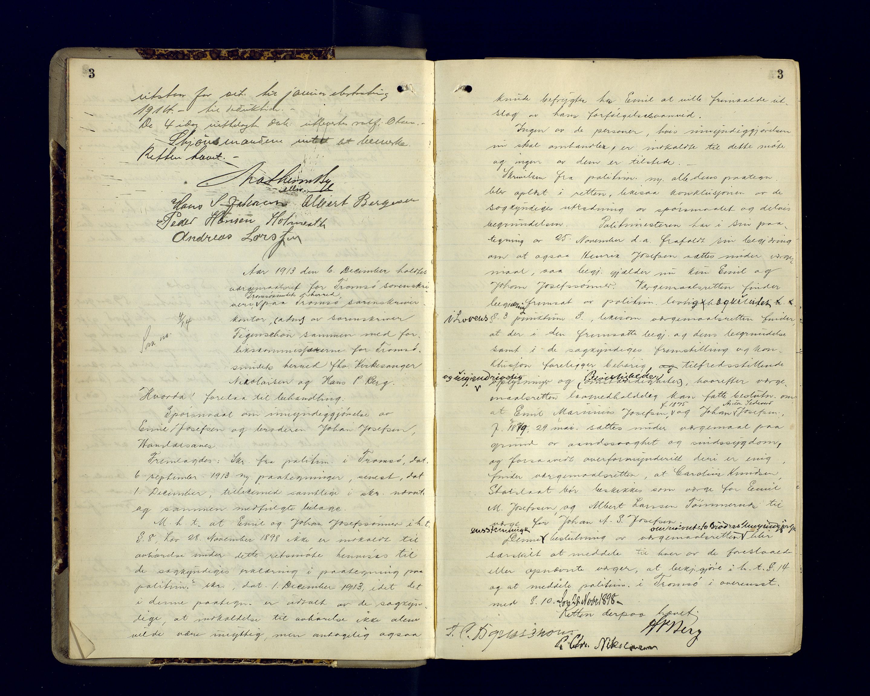 Malangen sorenskriveri, AV/SATØ-SATØ-0051/1/F/Fa/L0034: Ekstraretts- og sjørettsprotokoller. Med noen vigsler (f.eks. side 229), 1913-1924, s. 3