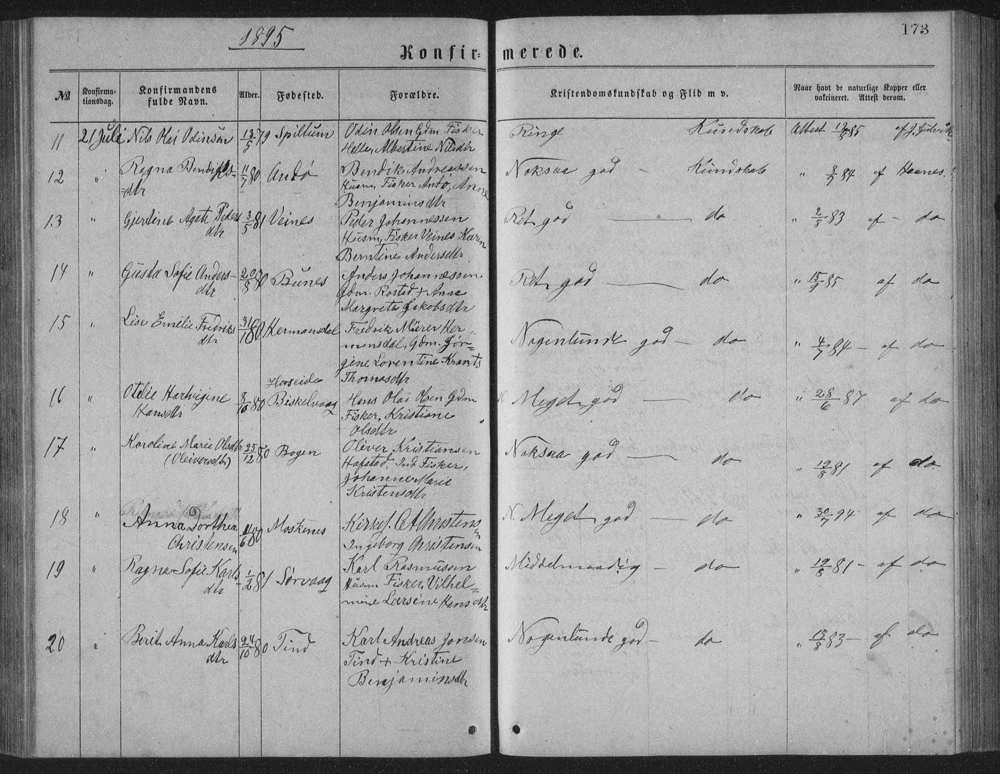 Ministerialprotokoller, klokkerbøker og fødselsregistre - Nordland, AV/SAT-A-1459/886/L1225: Klokkerbok nr. 886C02, 1874-1896, s. 173