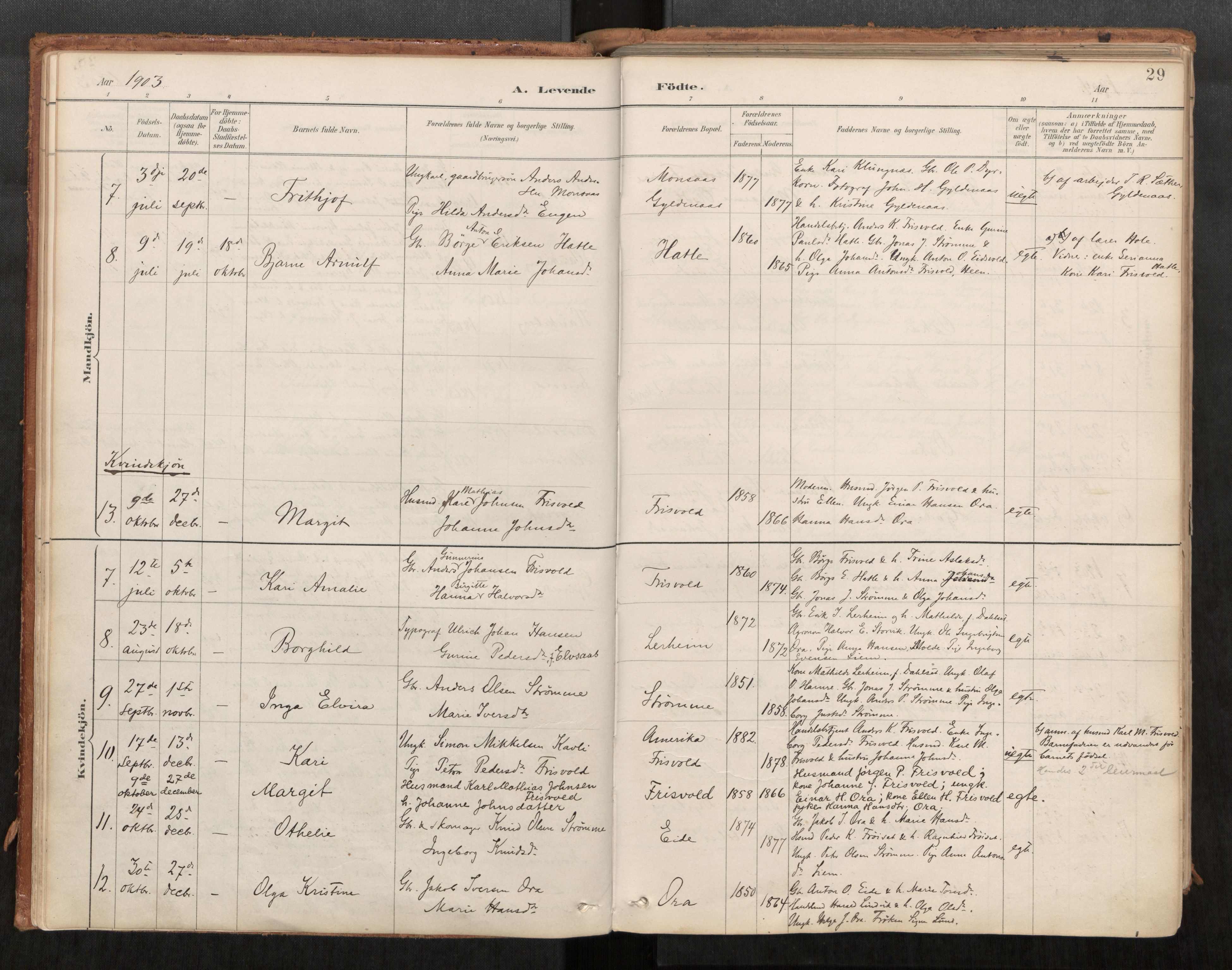 Ministerialprotokoller, klokkerbøker og fødselsregistre - Møre og Romsdal, AV/SAT-A-1454/542/L0553: Ministerialbok nr. 542A03, 1885-1925, s. 29