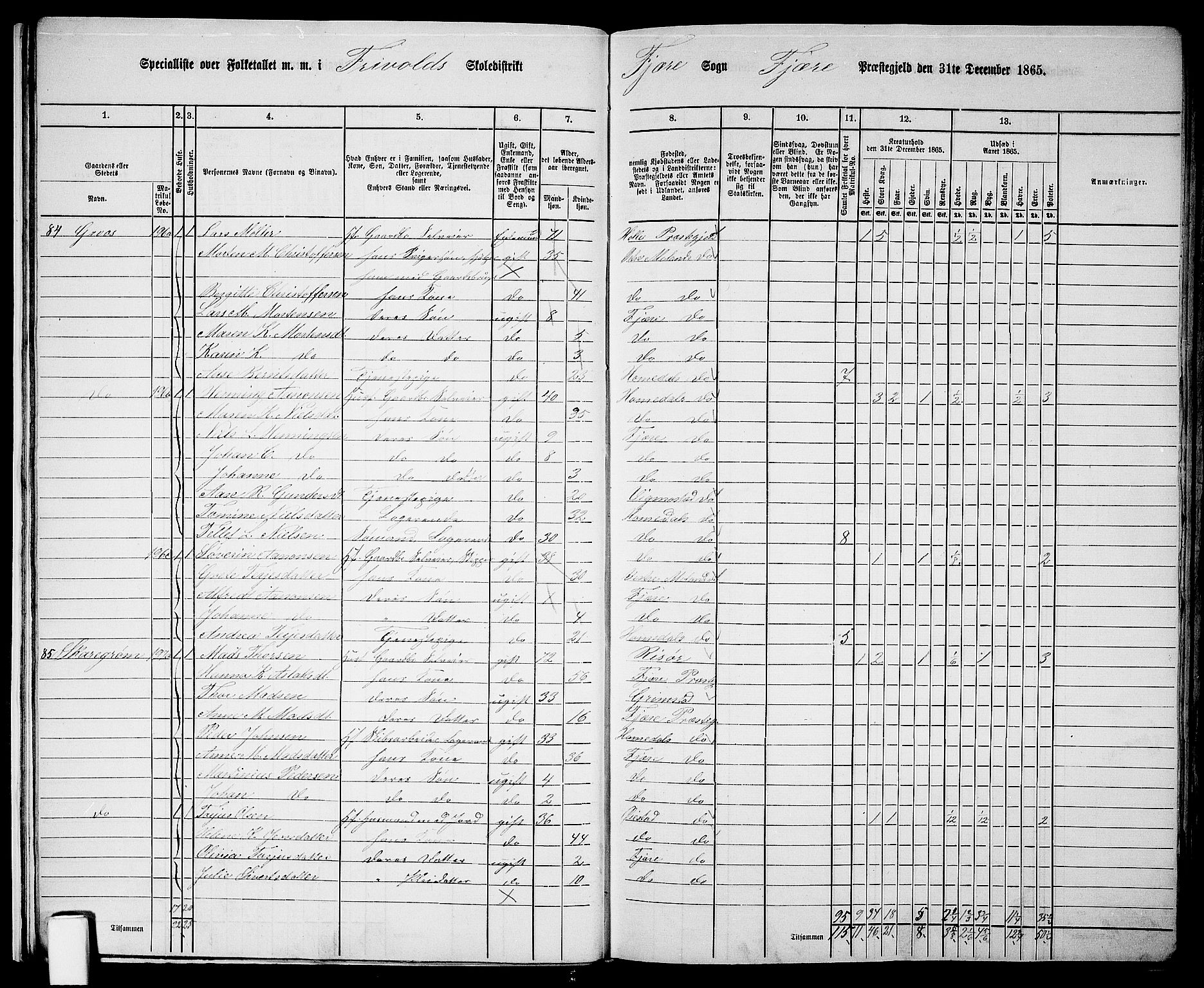 RA, Folketelling 1865 for 0923L Fjære prestegjeld, Fjære sokn, 1865, s. 17