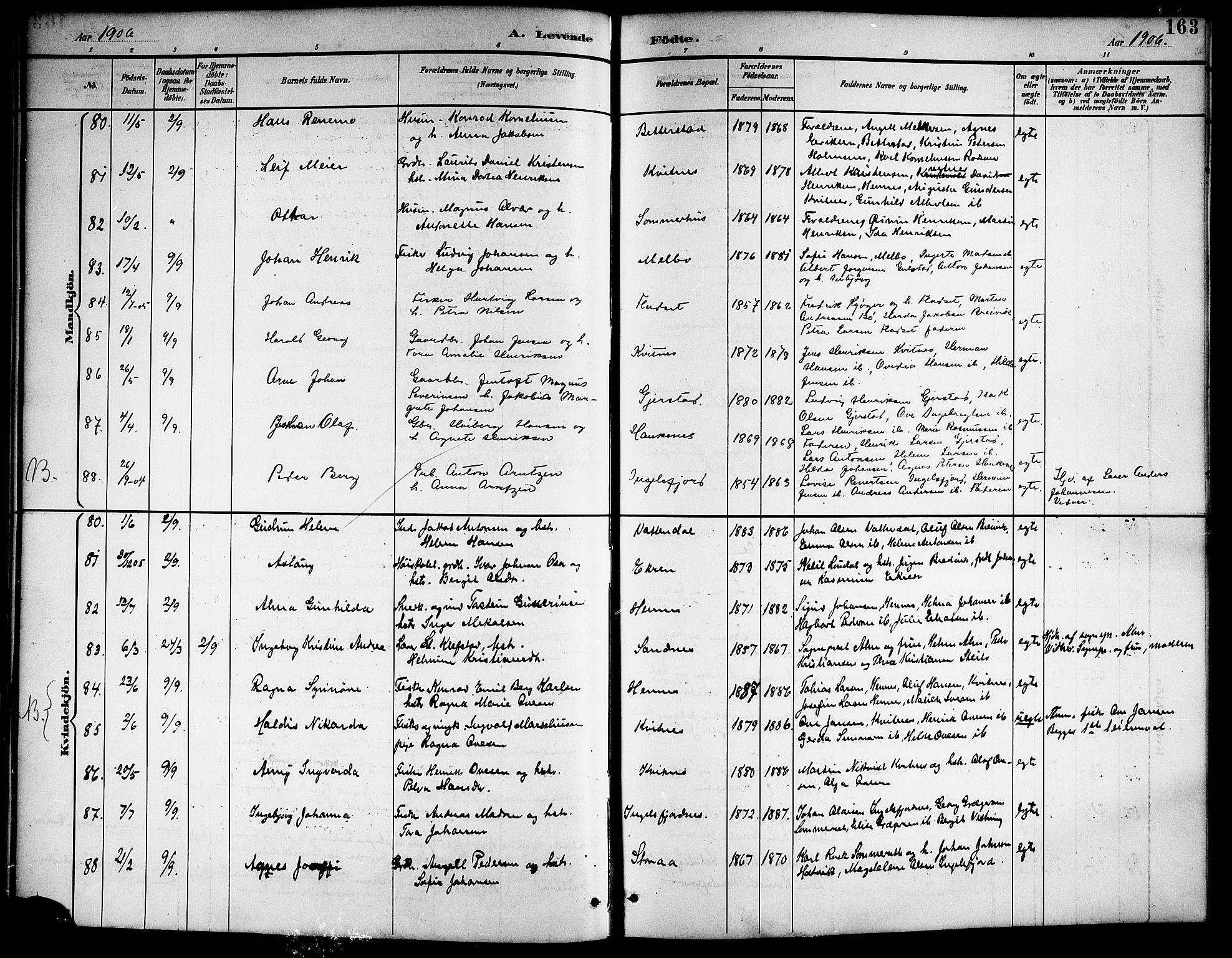 Ministerialprotokoller, klokkerbøker og fødselsregistre - Nordland, AV/SAT-A-1459/888/L1268: Klokkerbok nr. 888C06, 1891-1908, s. 163