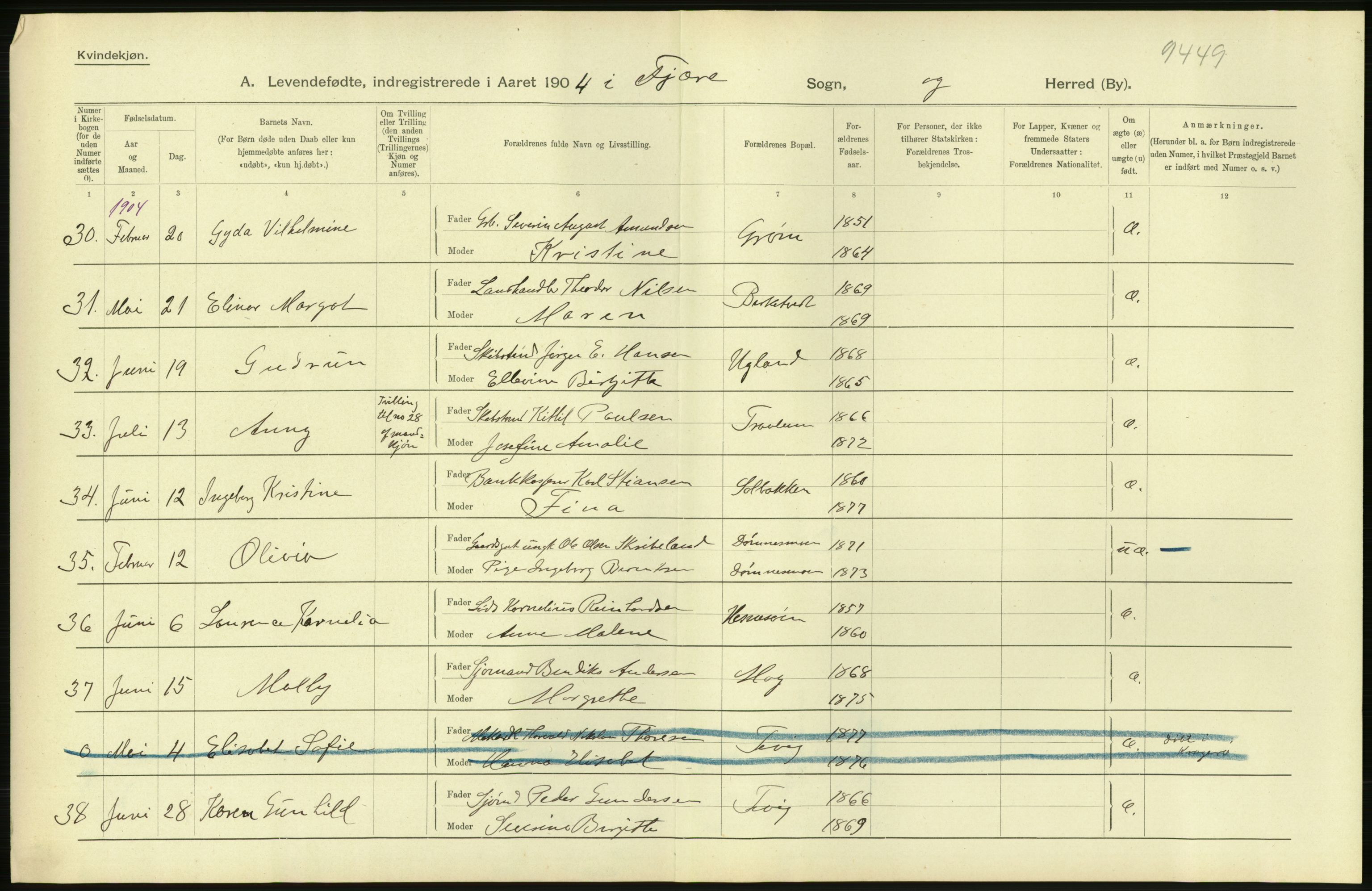 Statistisk sentralbyrå, Sosiodemografiske emner, Befolkning, AV/RA-S-2228/D/Df/Dfa/Dfab/L0010: Nedenes amt: Fødte, gifte, døde, 1904, s. 52