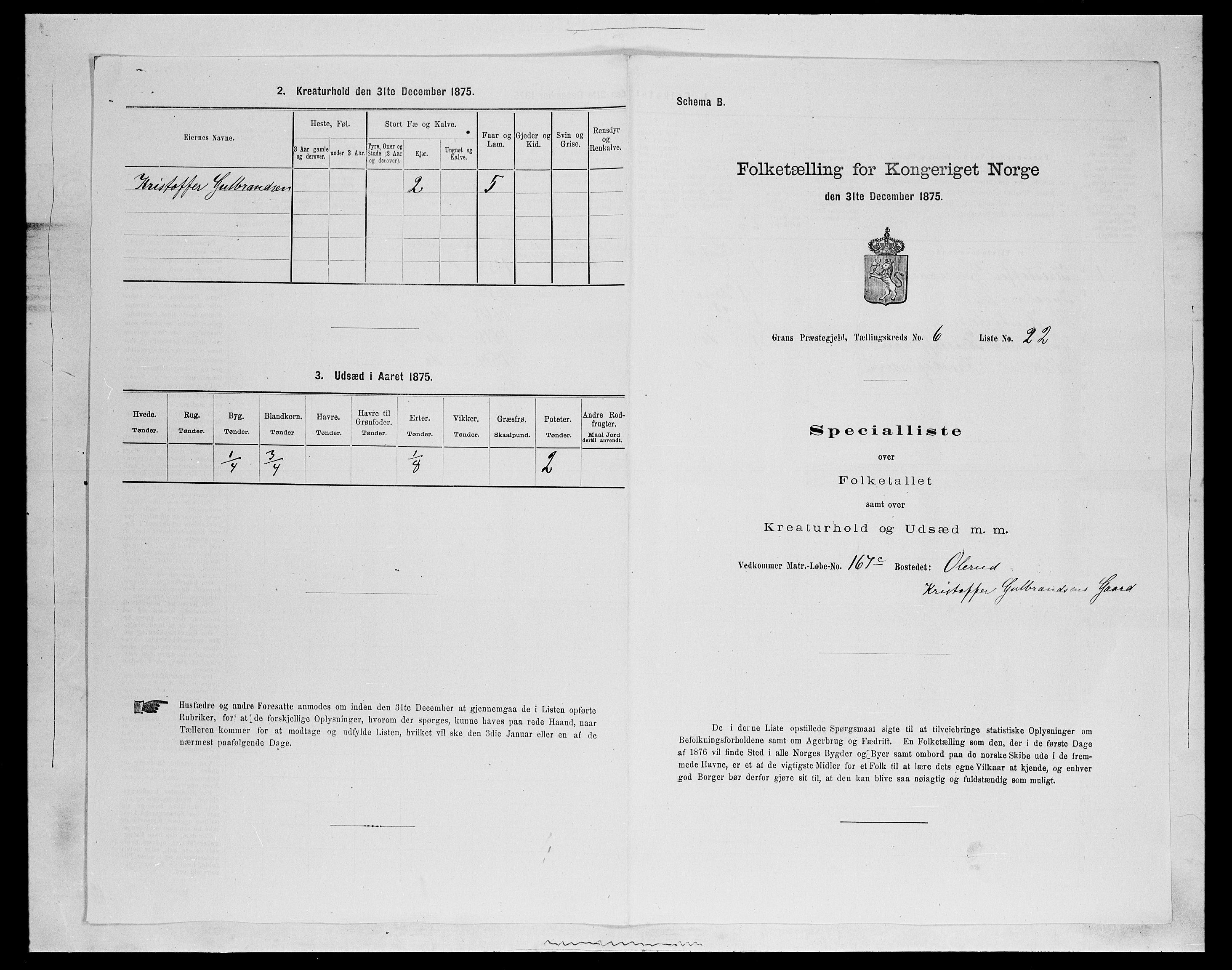 SAH, Folketelling 1875 for 0534P Gran prestegjeld, 1875, s. 1063