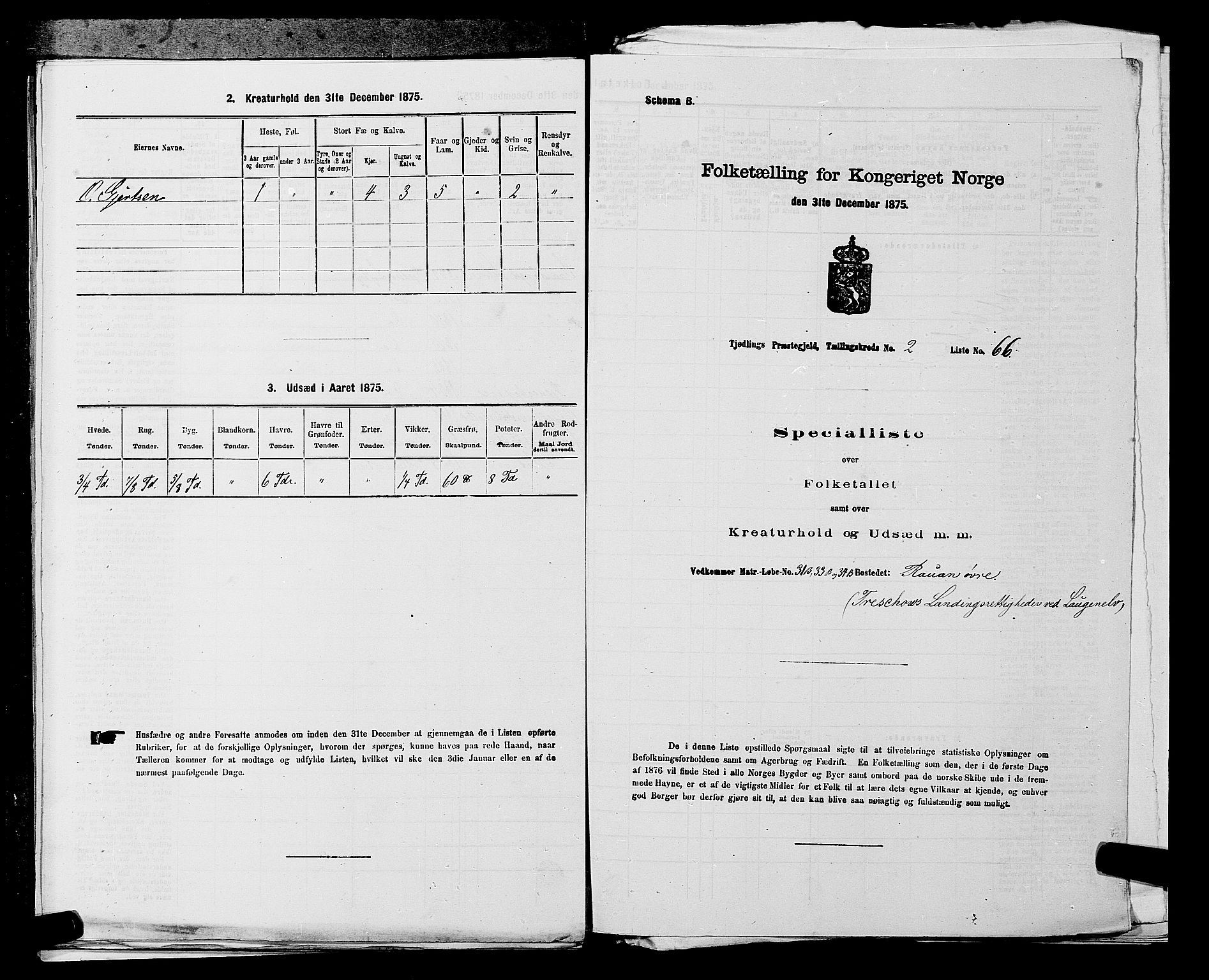 SAKO, Folketelling 1875 for 0725P Tjølling prestegjeld, 1875, s. 525