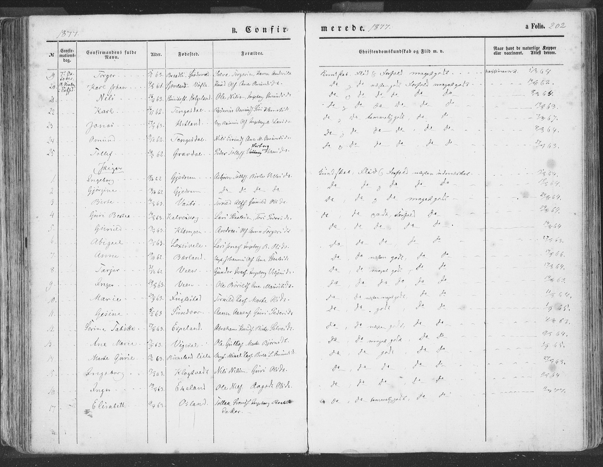 Helleland sokneprestkontor, SAST/A-101810: Ministerialbok nr. A 7.1, 1863-1886, s. 202