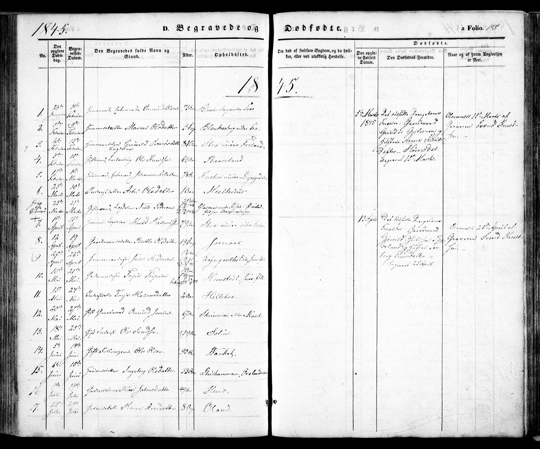 Froland sokneprestkontor, AV/SAK-1111-0013/F/Fa/L0002: Ministerialbok nr. A 2, 1845-1863, s. 185