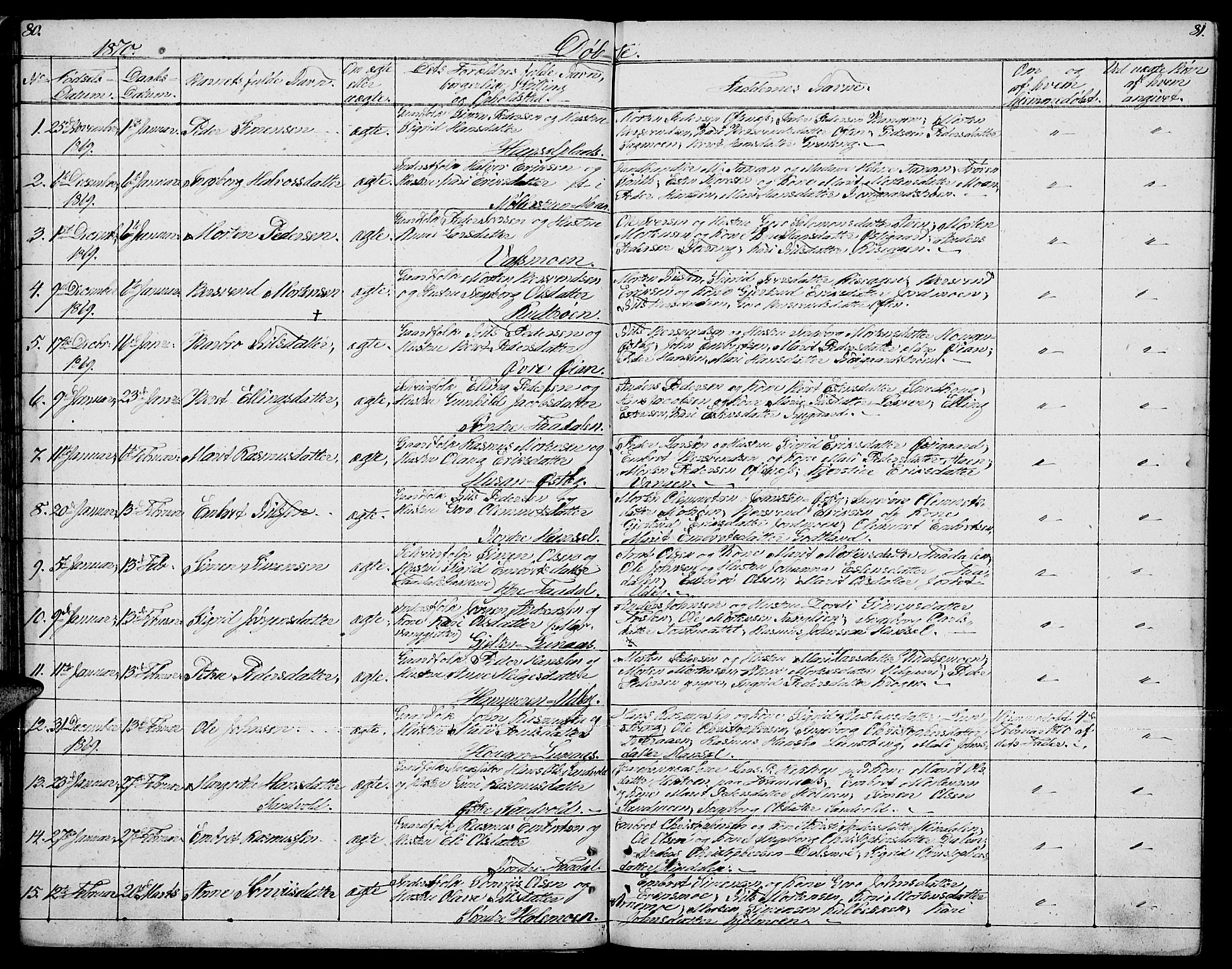 Tynset prestekontor, AV/SAH-PREST-058/H/Ha/Hab/L0005: Klokkerbok nr. 5, 1860-1879, s. 80-81
