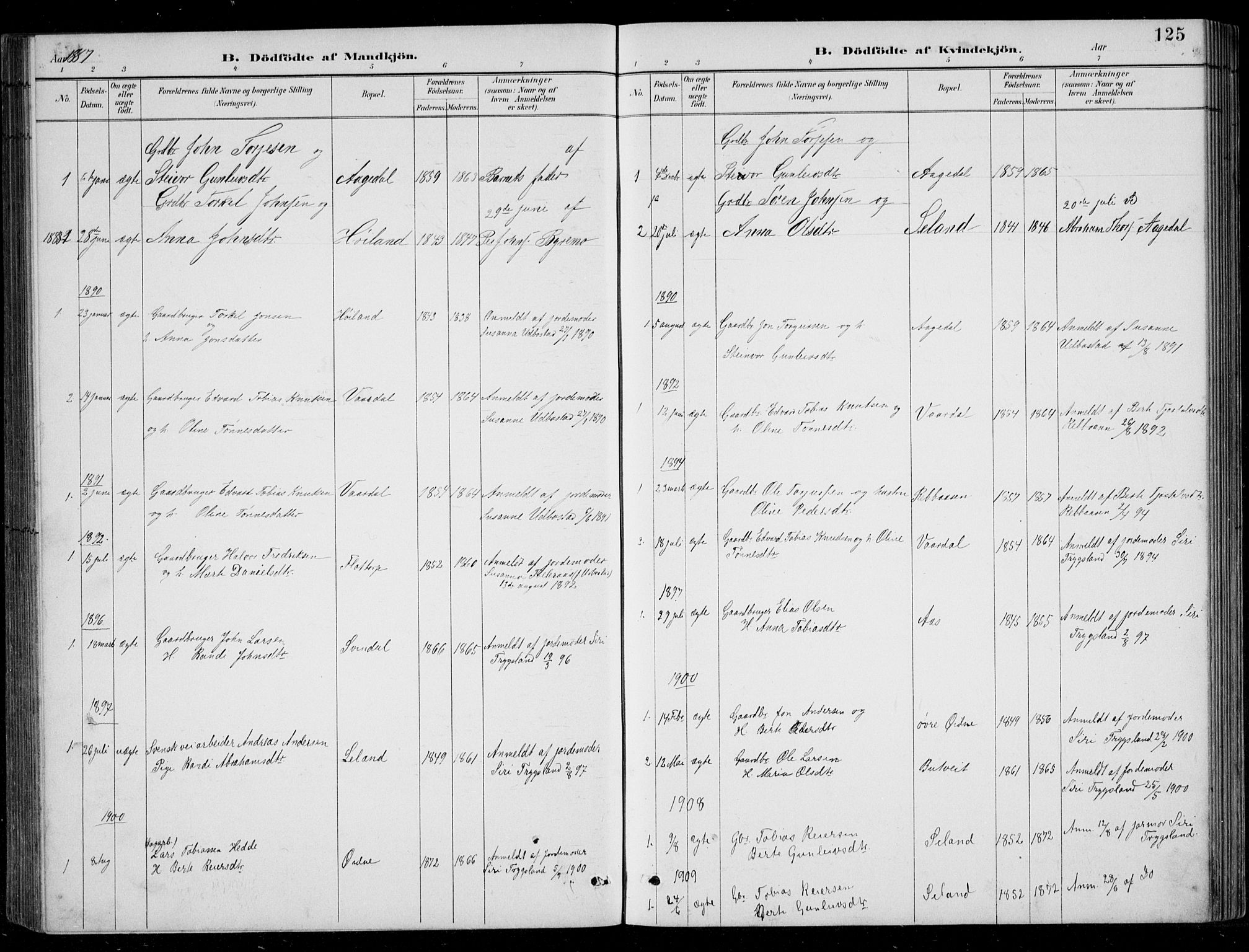 Bjelland sokneprestkontor, AV/SAK-1111-0005/F/Fb/Fbc/L0003: Klokkerbok nr. B 3, 1887-1924, s. 125