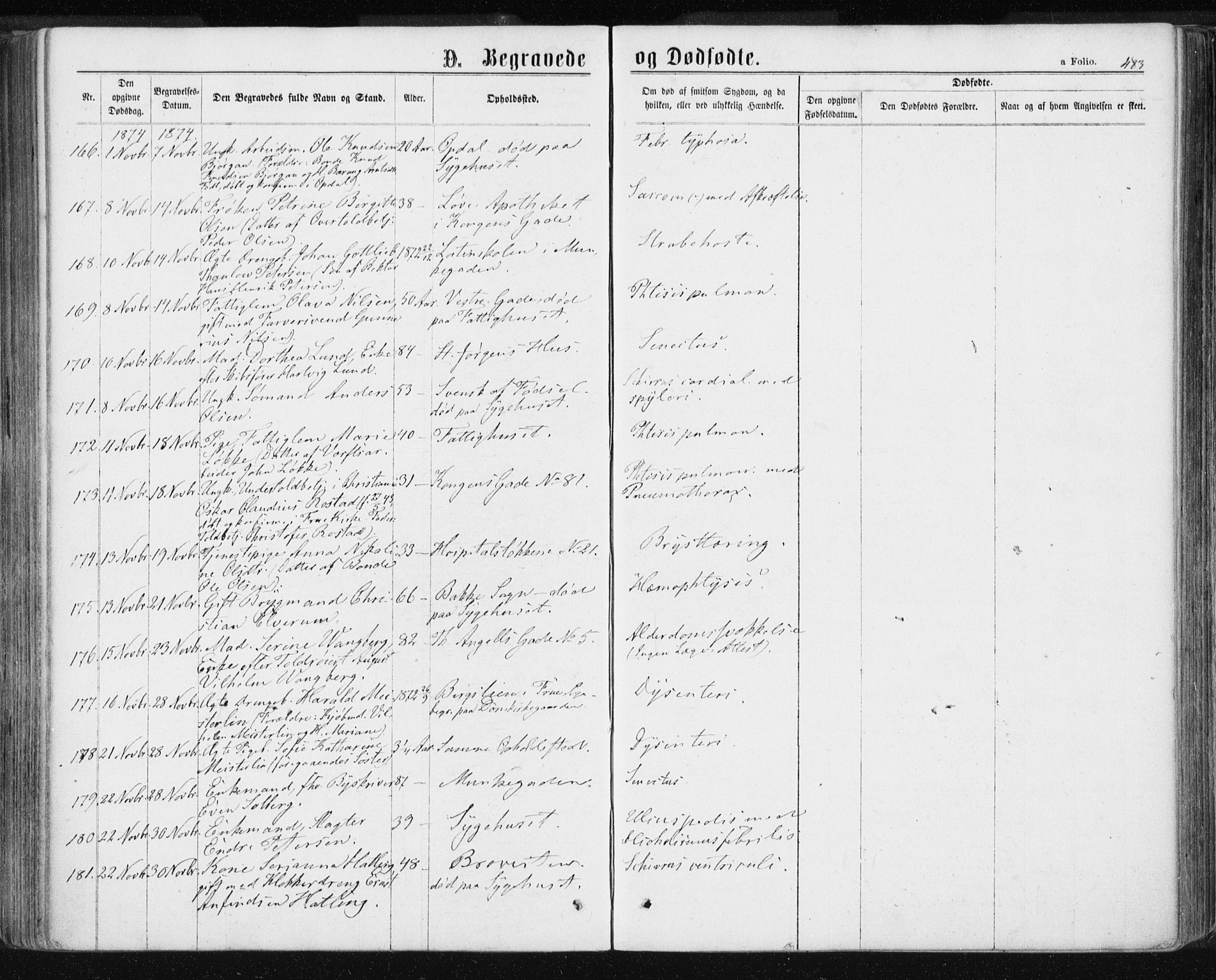 Ministerialprotokoller, klokkerbøker og fødselsregistre - Sør-Trøndelag, AV/SAT-A-1456/601/L0055: Ministerialbok nr. 601A23, 1866-1877, s. 483