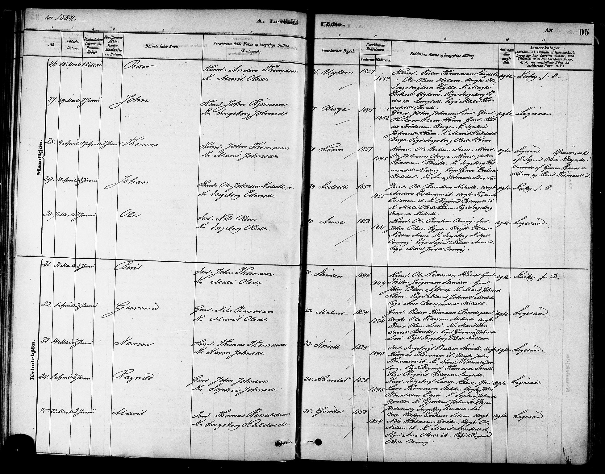 Ministerialprotokoller, klokkerbøker og fødselsregistre - Sør-Trøndelag, SAT/A-1456/695/L1148: Ministerialbok nr. 695A08, 1878-1891, s. 95