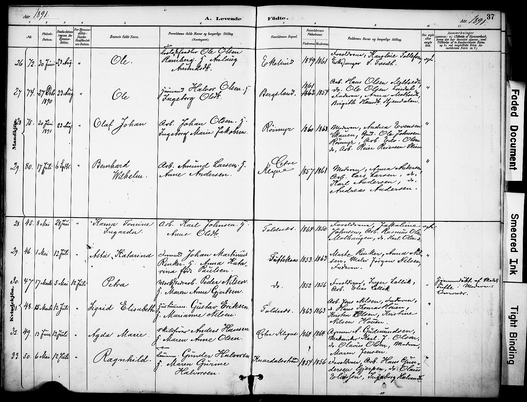 Solum kirkebøker, AV/SAKO-A-306/F/Fa/L0010: Ministerialbok nr. I 10, 1888-1898, s. 37