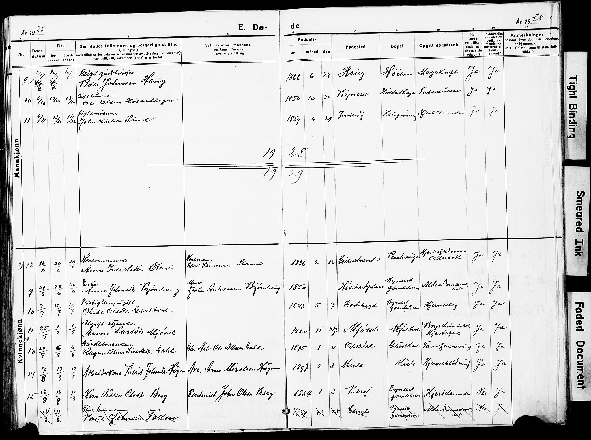Ministerialprotokoller, klokkerbøker og fødselsregistre - Sør-Trøndelag, AV/SAT-A-1456/612/L0388: Klokkerbok nr. 612C04, 1909-1929