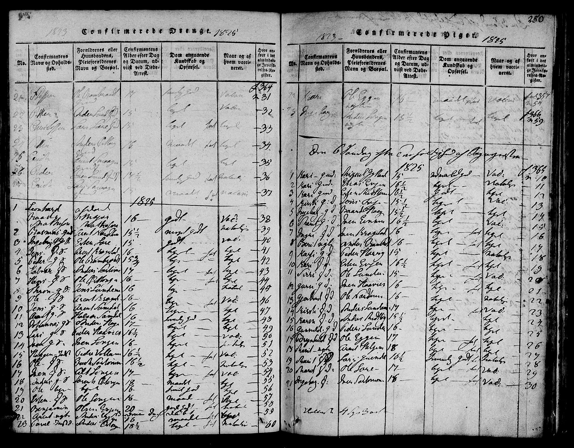 Ministerialprotokoller, klokkerbøker og fødselsregistre - Sør-Trøndelag, SAT/A-1456/692/L1102: Ministerialbok nr. 692A02, 1816-1842, s. 250
