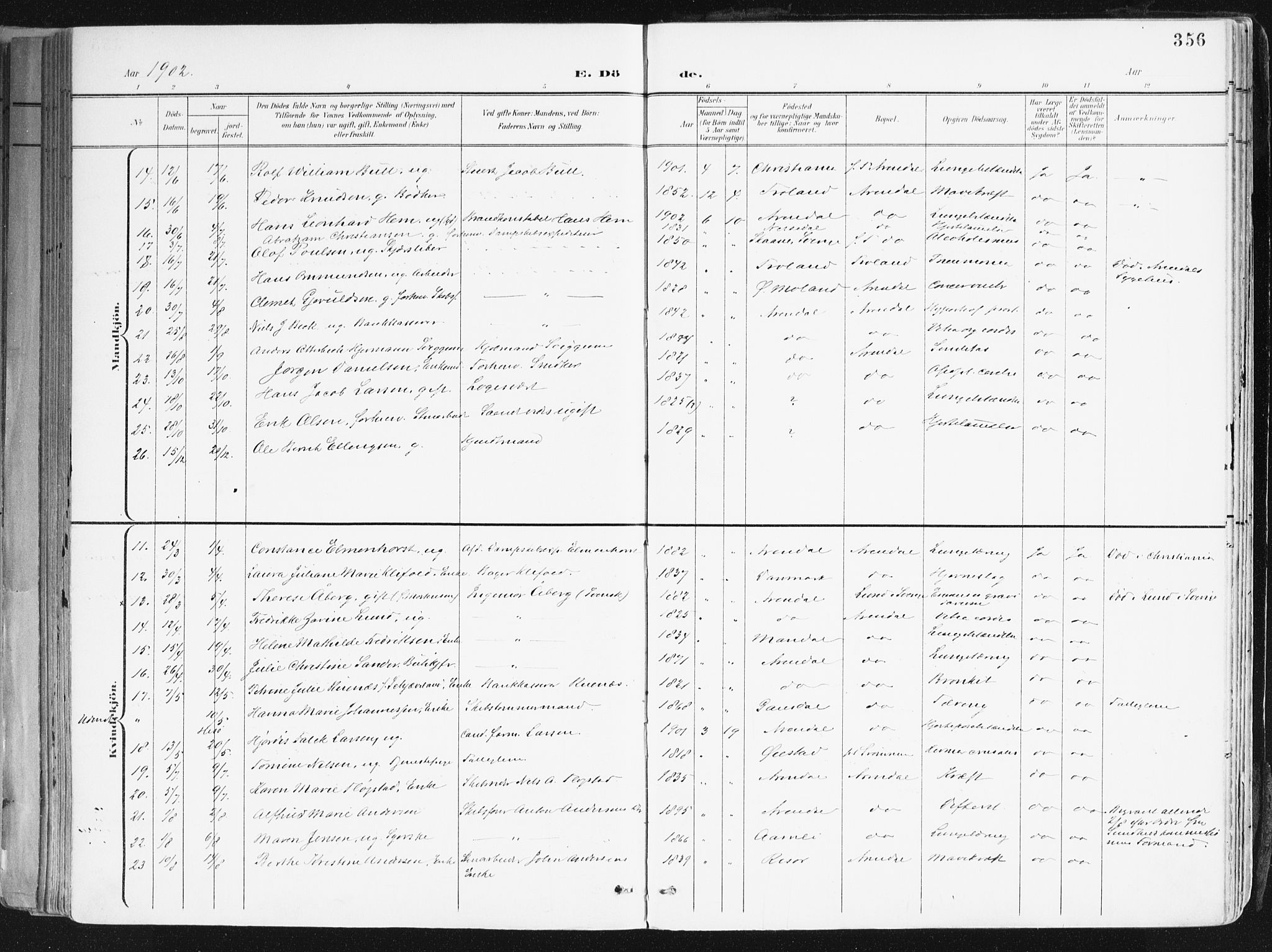 Arendal sokneprestkontor, Trefoldighet, AV/SAK-1111-0040/F/Fa/L0010: Ministerialbok nr. A 10, 1900-1919, s. 356