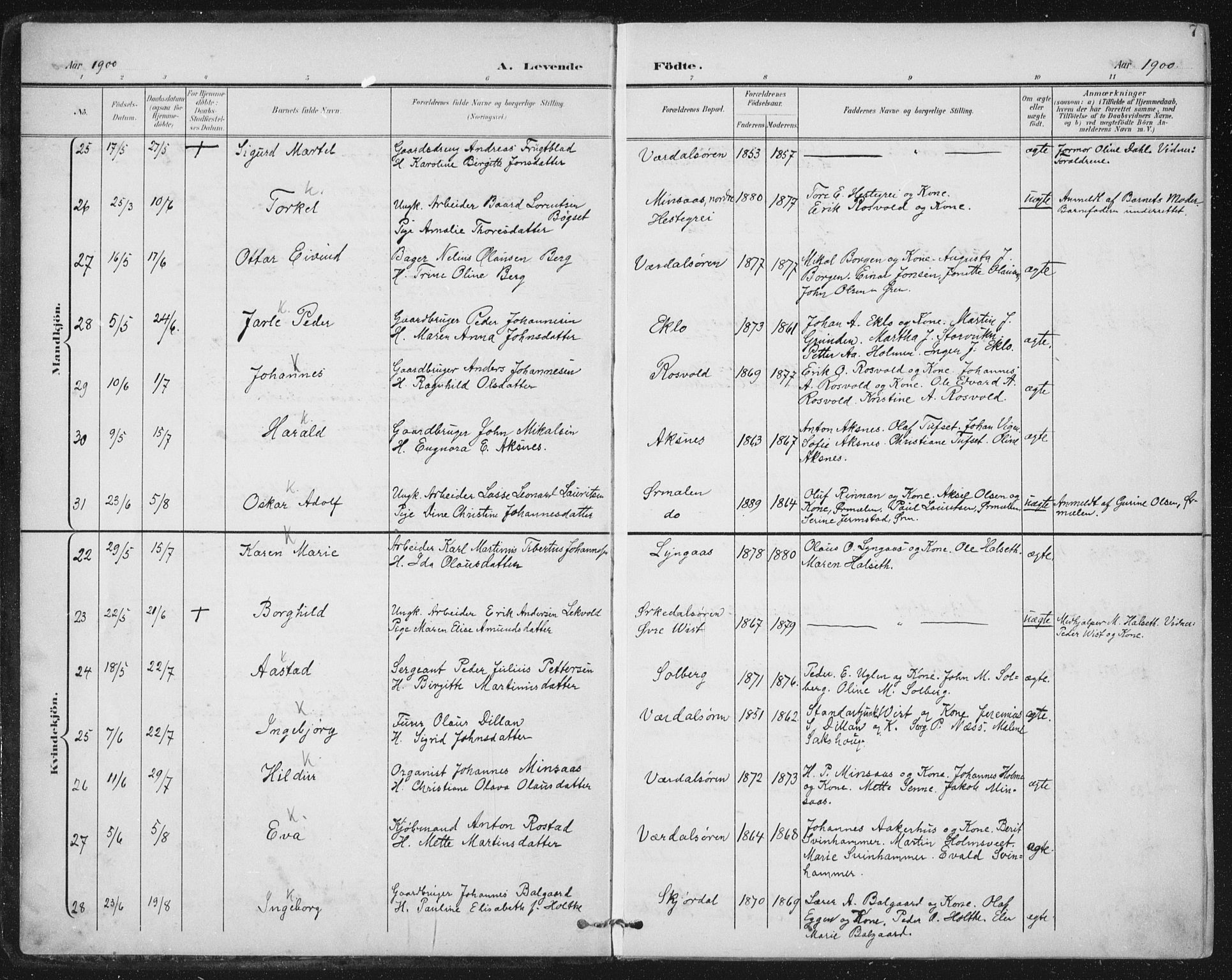 Ministerialprotokoller, klokkerbøker og fødselsregistre - Nord-Trøndelag, AV/SAT-A-1458/723/L0246: Ministerialbok nr. 723A15, 1900-1917, s. 7