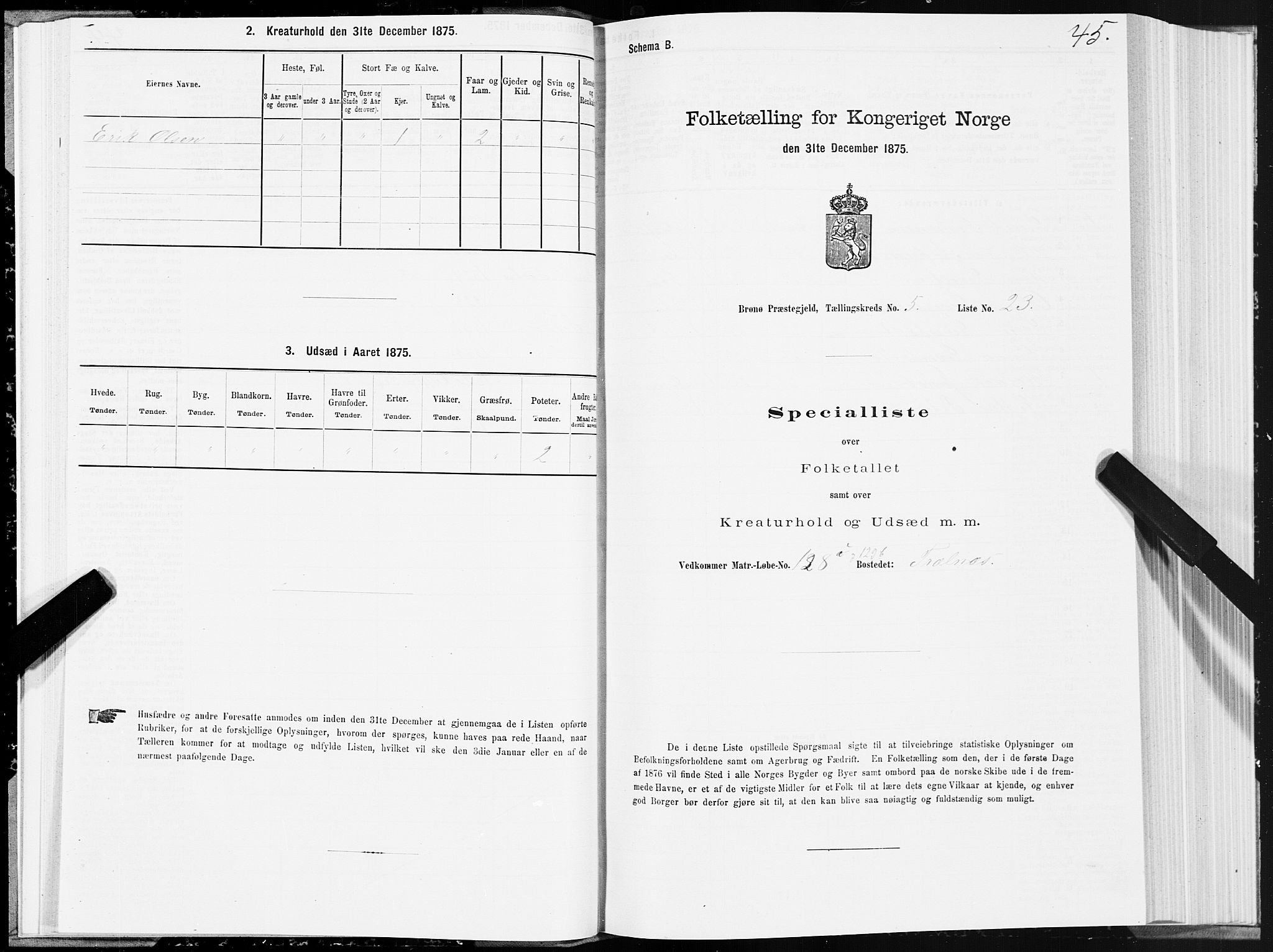 SAT, Folketelling 1875 for 1814P Brønnøy prestegjeld, 1875, s. 3045