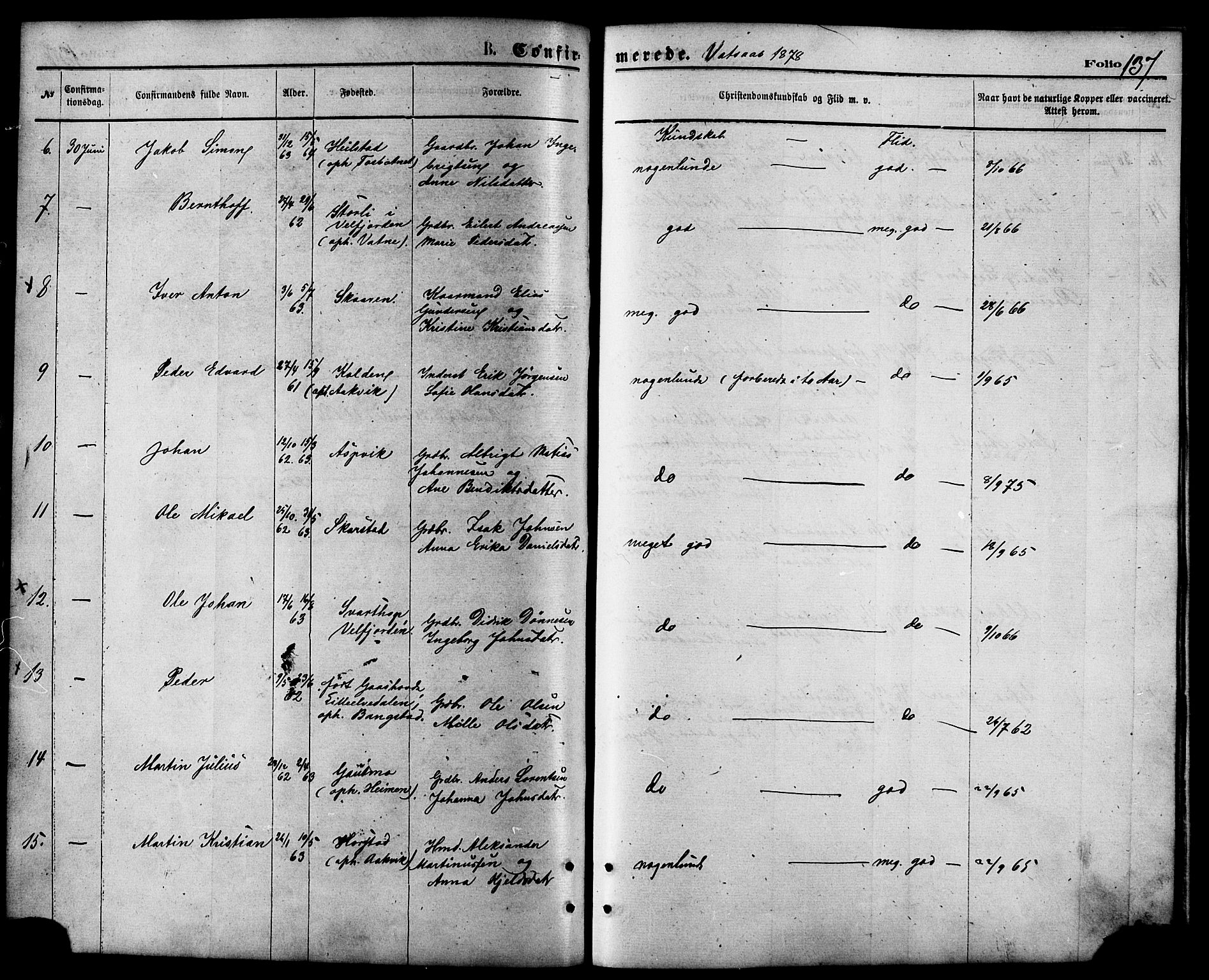 Ministerialprotokoller, klokkerbøker og fødselsregistre - Nordland, AV/SAT-A-1459/810/L0148: Ministerialbok nr. 810A09 /1, 1874-1884, s. 137