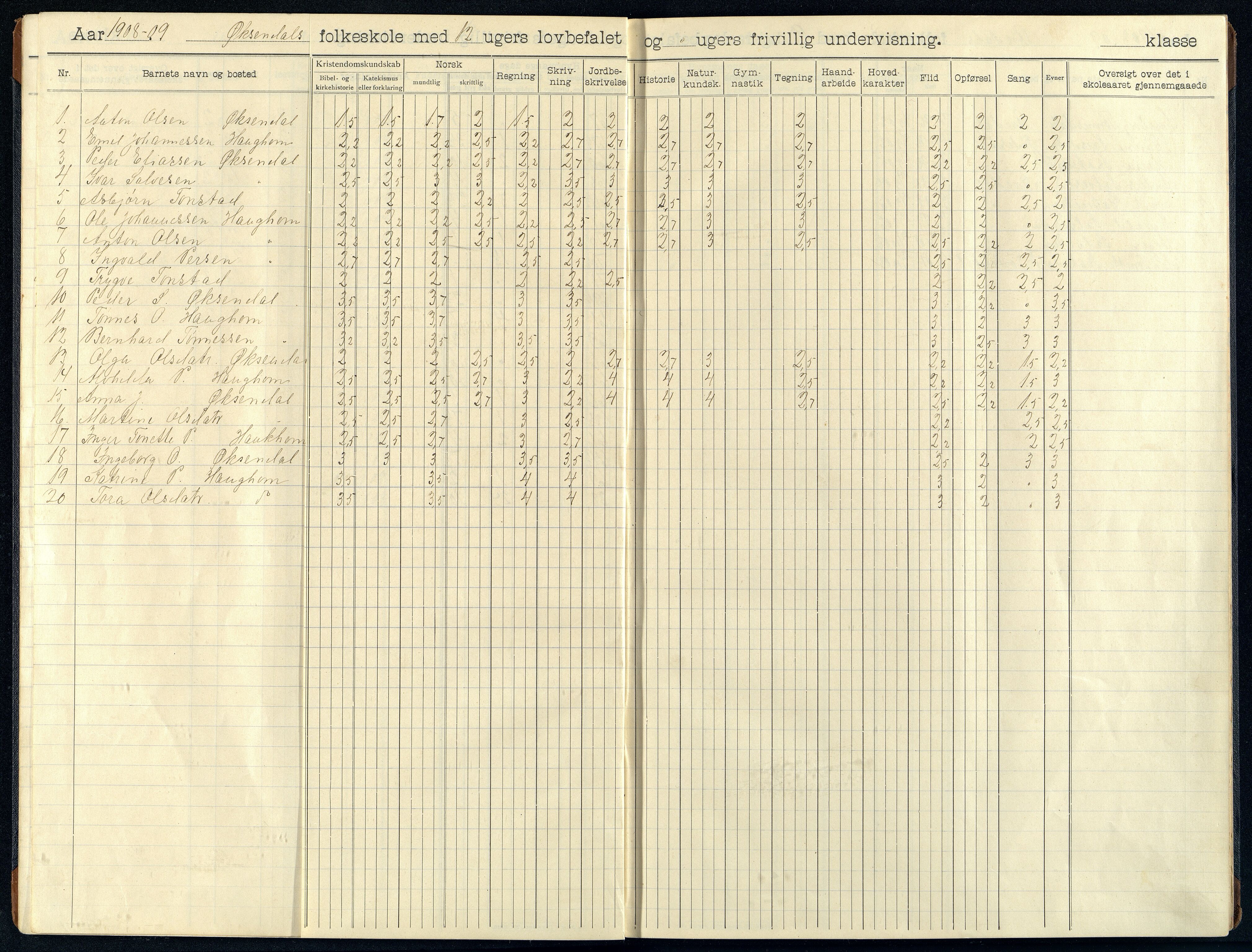 Bakke kommune - Øksendal Skole, ARKSOR/1004BA552/H/L0006: Skoleprotokoll, 1907-1914