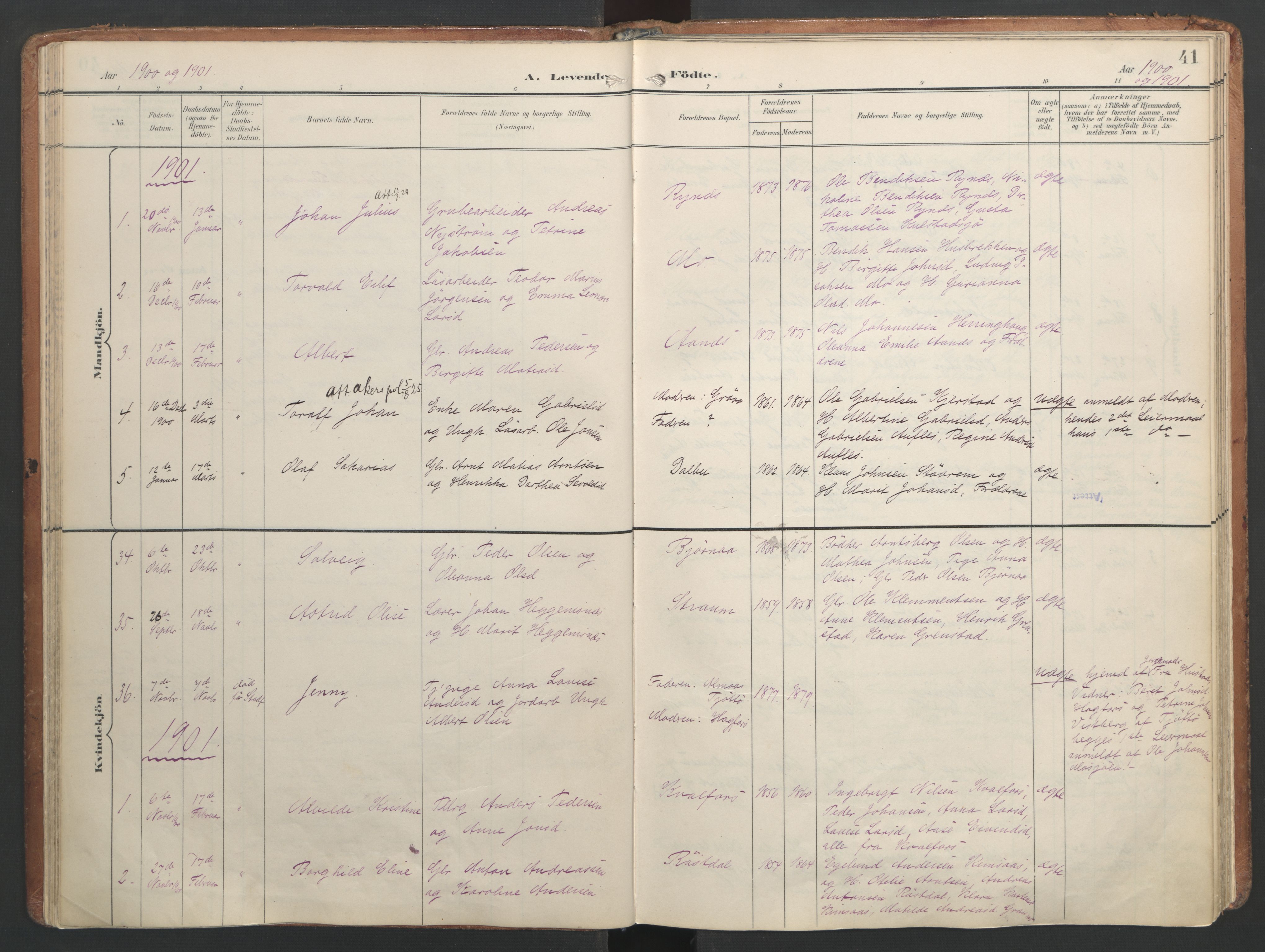 Ministerialprotokoller, klokkerbøker og fødselsregistre - Nordland, SAT/A-1459/820/L0297: Ministerialbok nr. 820A18, 1897-1917, s. 41