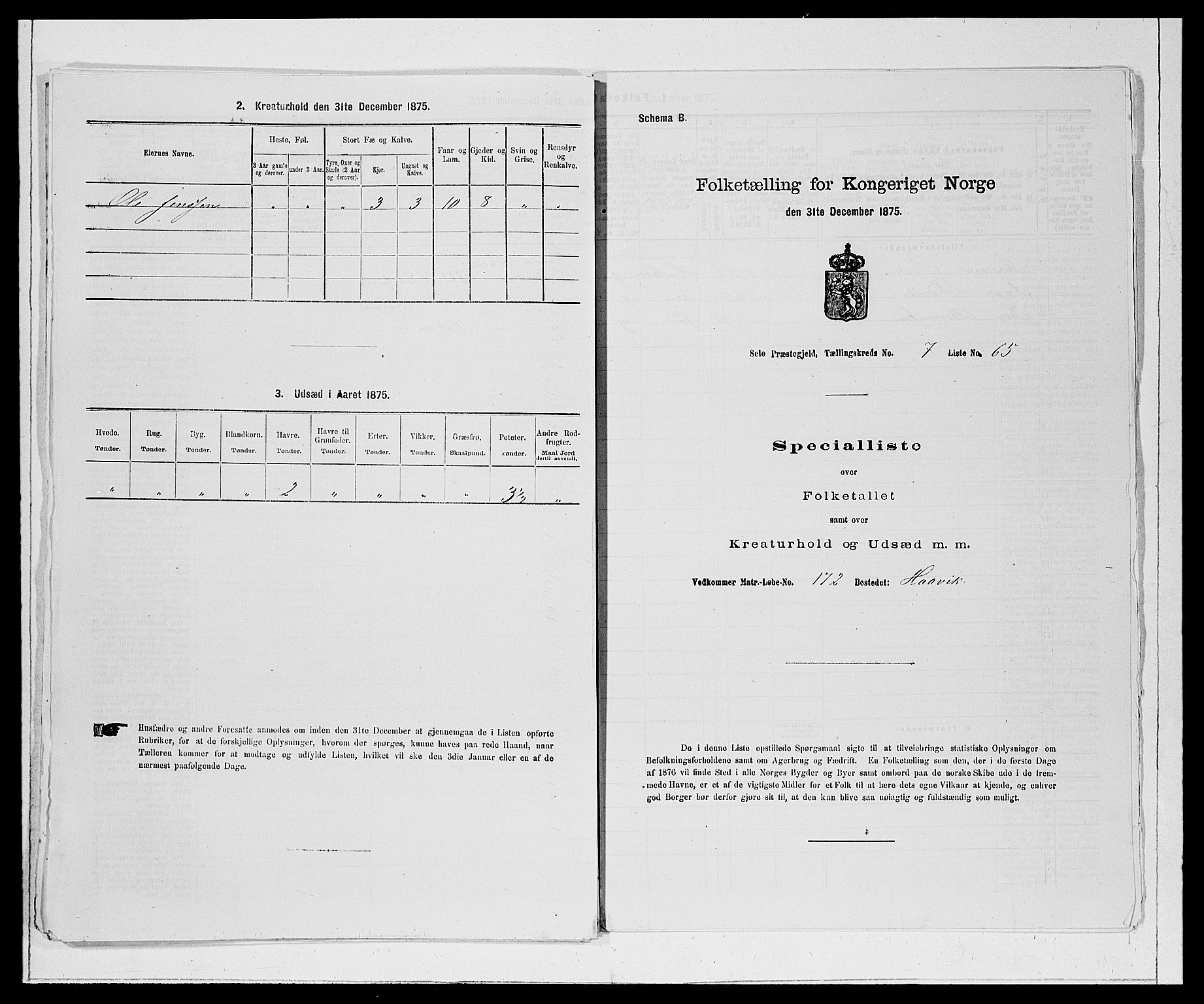 SAB, Folketelling 1875 for 1441P Selje prestegjeld, 1875, s. 928