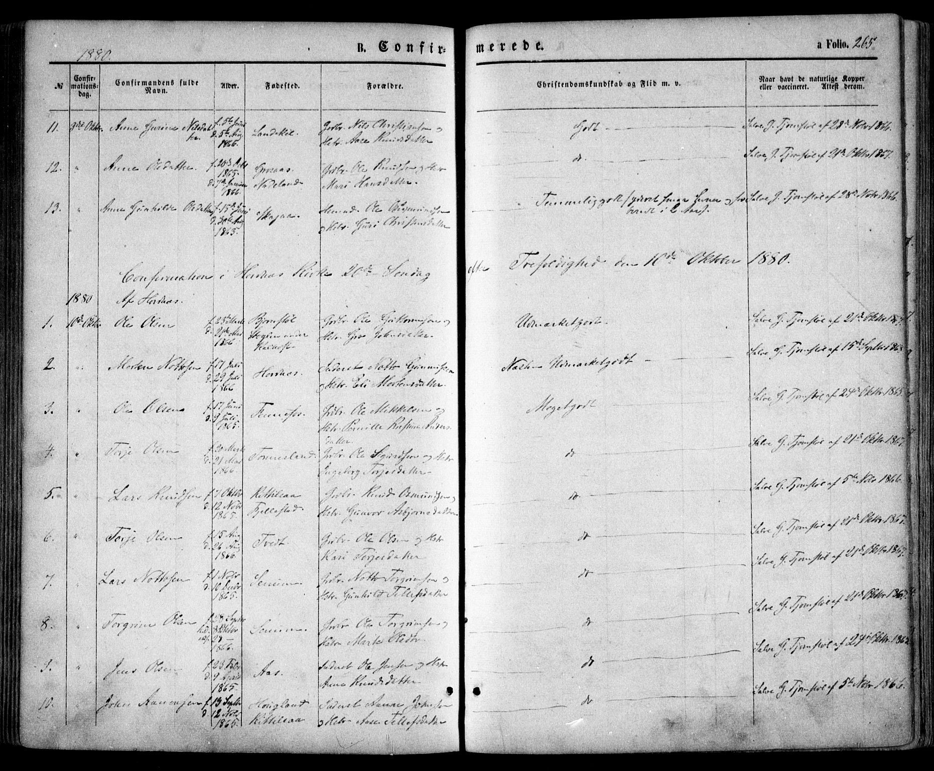 Evje sokneprestkontor, AV/SAK-1111-0008/F/Fa/Faa/L0006: Ministerialbok nr. A 6, 1866-1884, s. 265