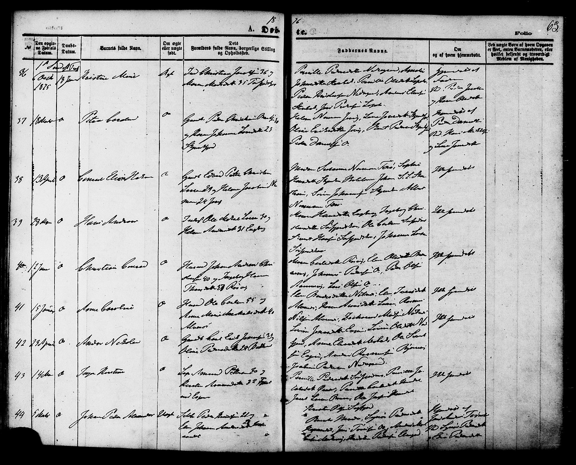 Ministerialprotokoller, klokkerbøker og fødselsregistre - Nordland, AV/SAT-A-1459/853/L0771: Ministerialbok nr. 853A10, 1870-1881, s. 63