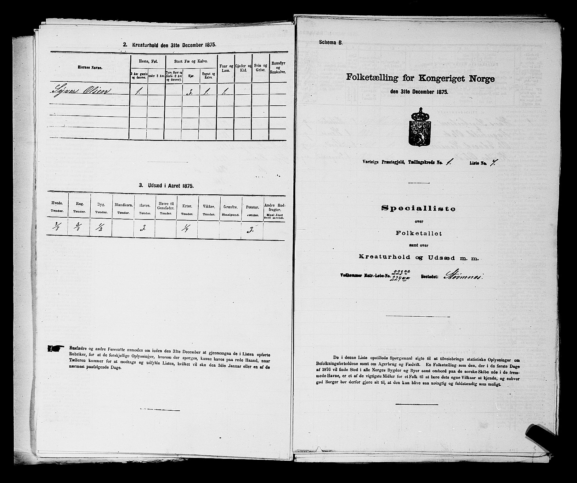 RA, Folketelling 1875 for 0114P Varteig prestegjeld, 1875, s. 29
