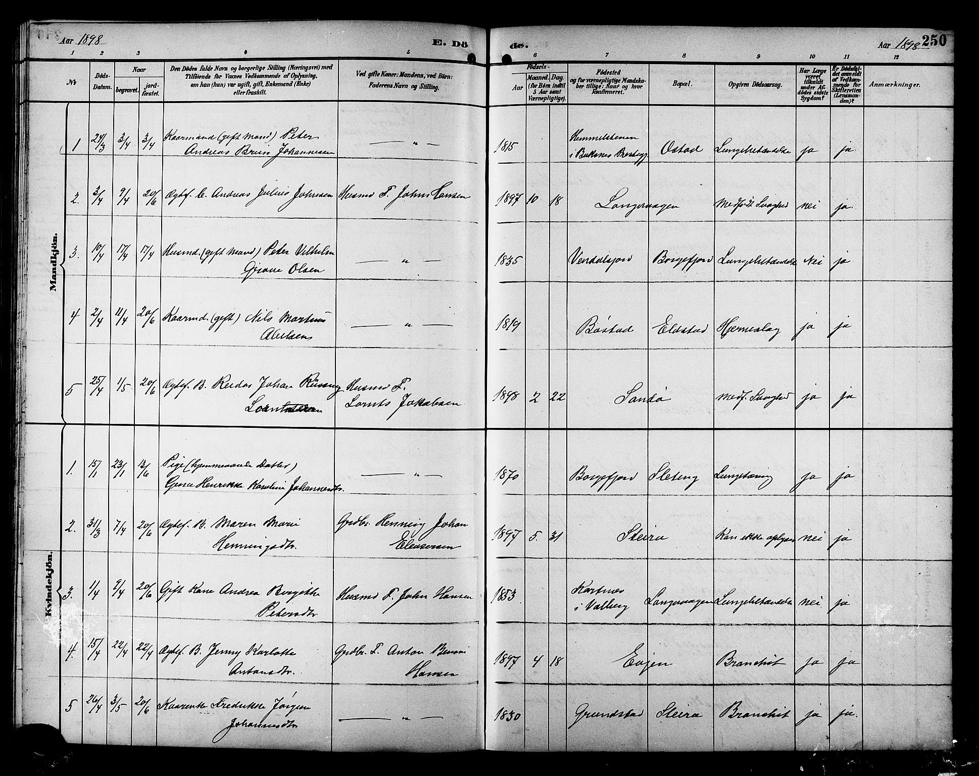 Ministerialprotokoller, klokkerbøker og fødselsregistre - Nordland, AV/SAT-A-1459/880/L1141: Klokkerbok nr. 880C03, 1893-1928, s. 250